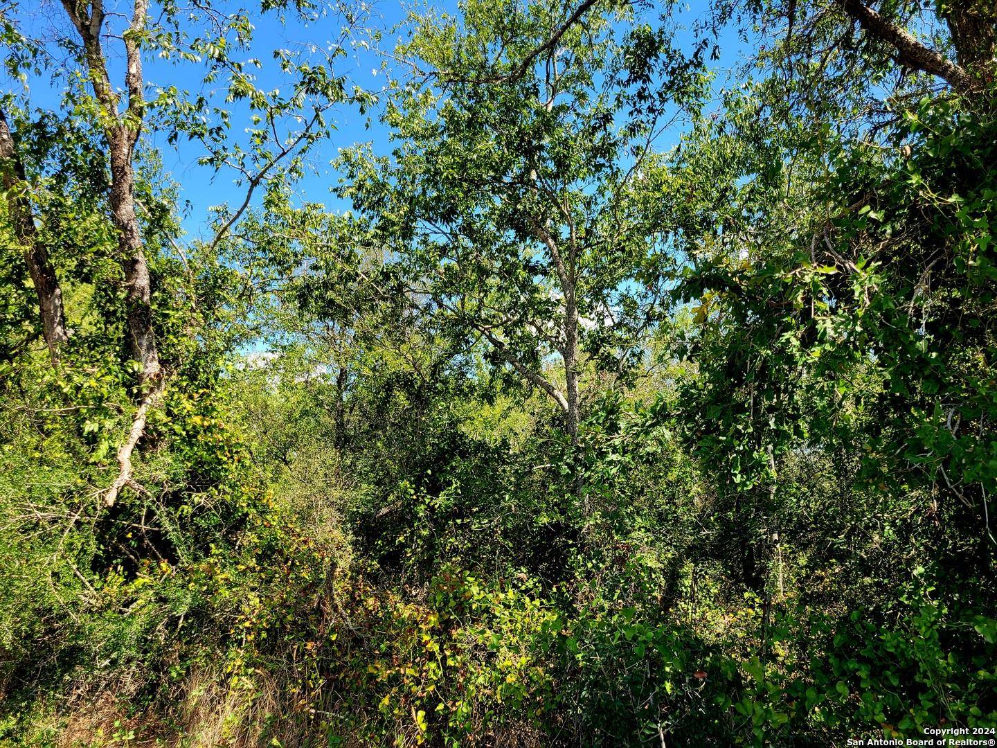 tbd Dale LN, Dale, TX 78616