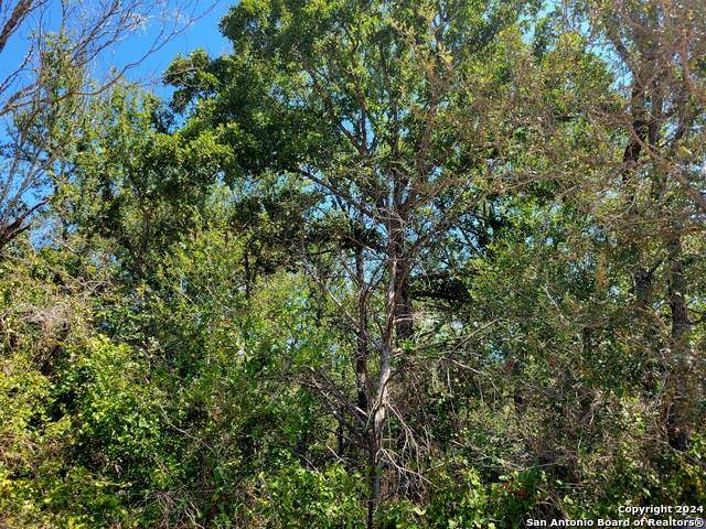 tbd Dale LN, Dale, TX 78616