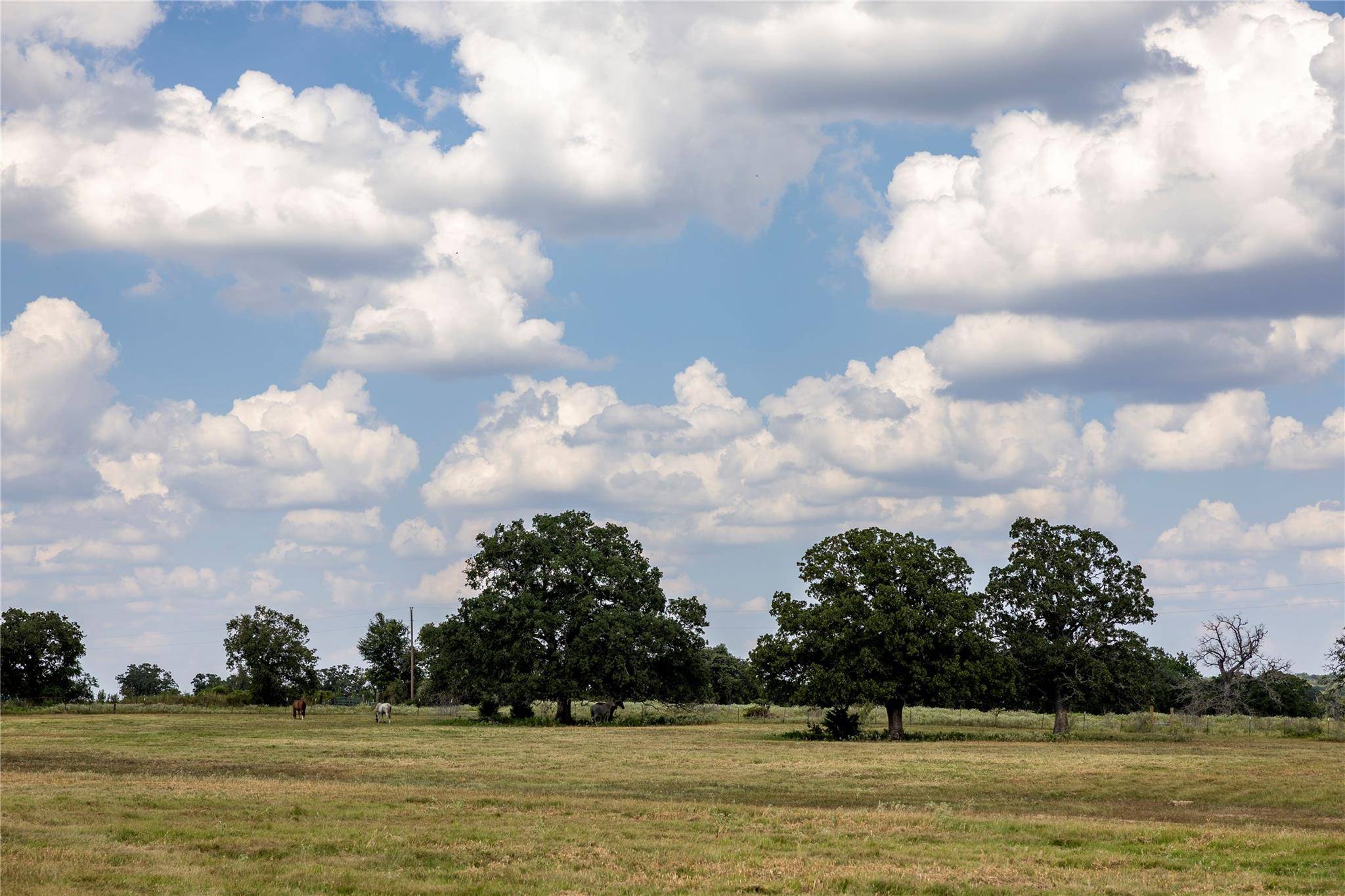 TBD County Road 315, Lexington, TX 78947