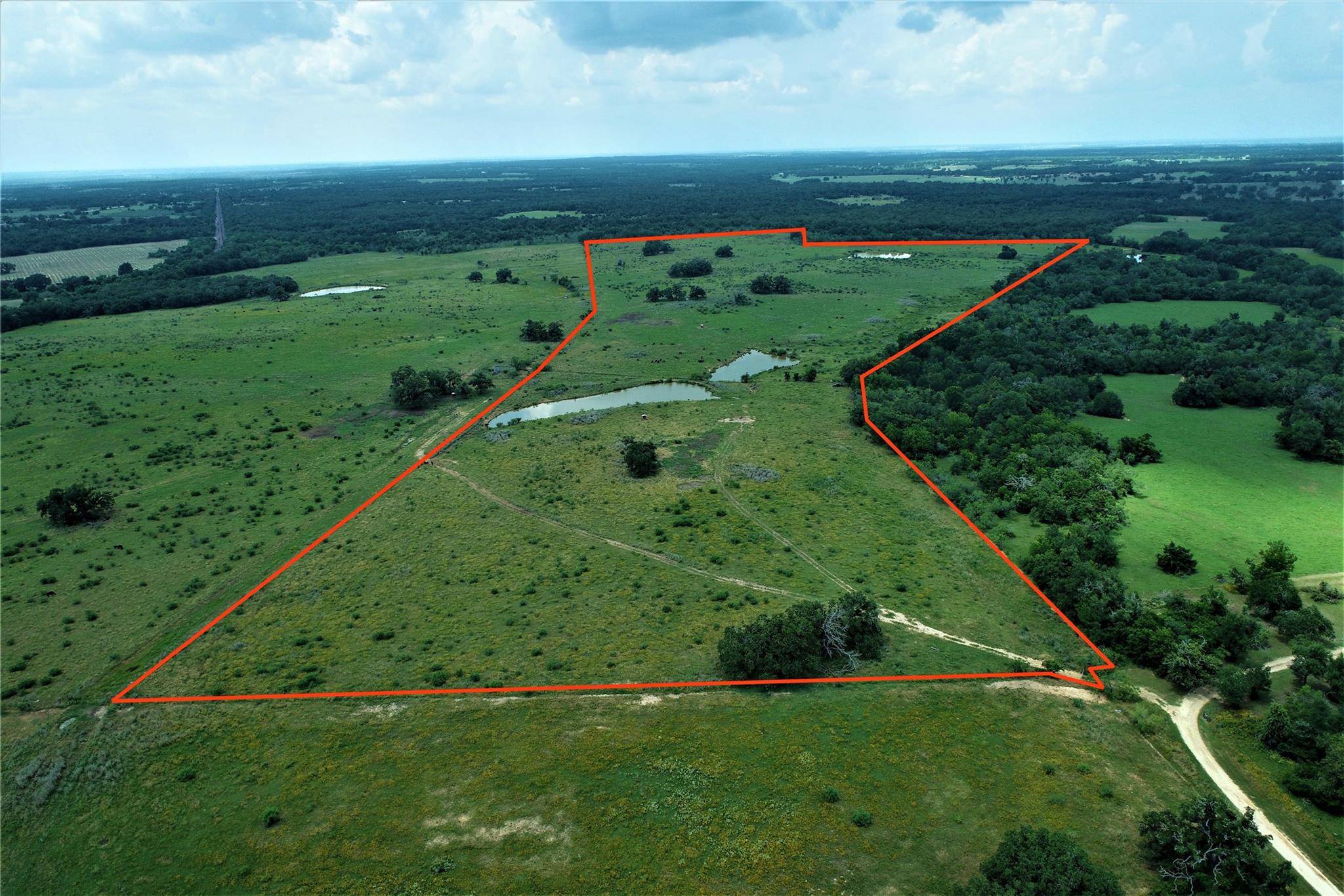TBD CANNON SNAP RD, Milano, TX 76556