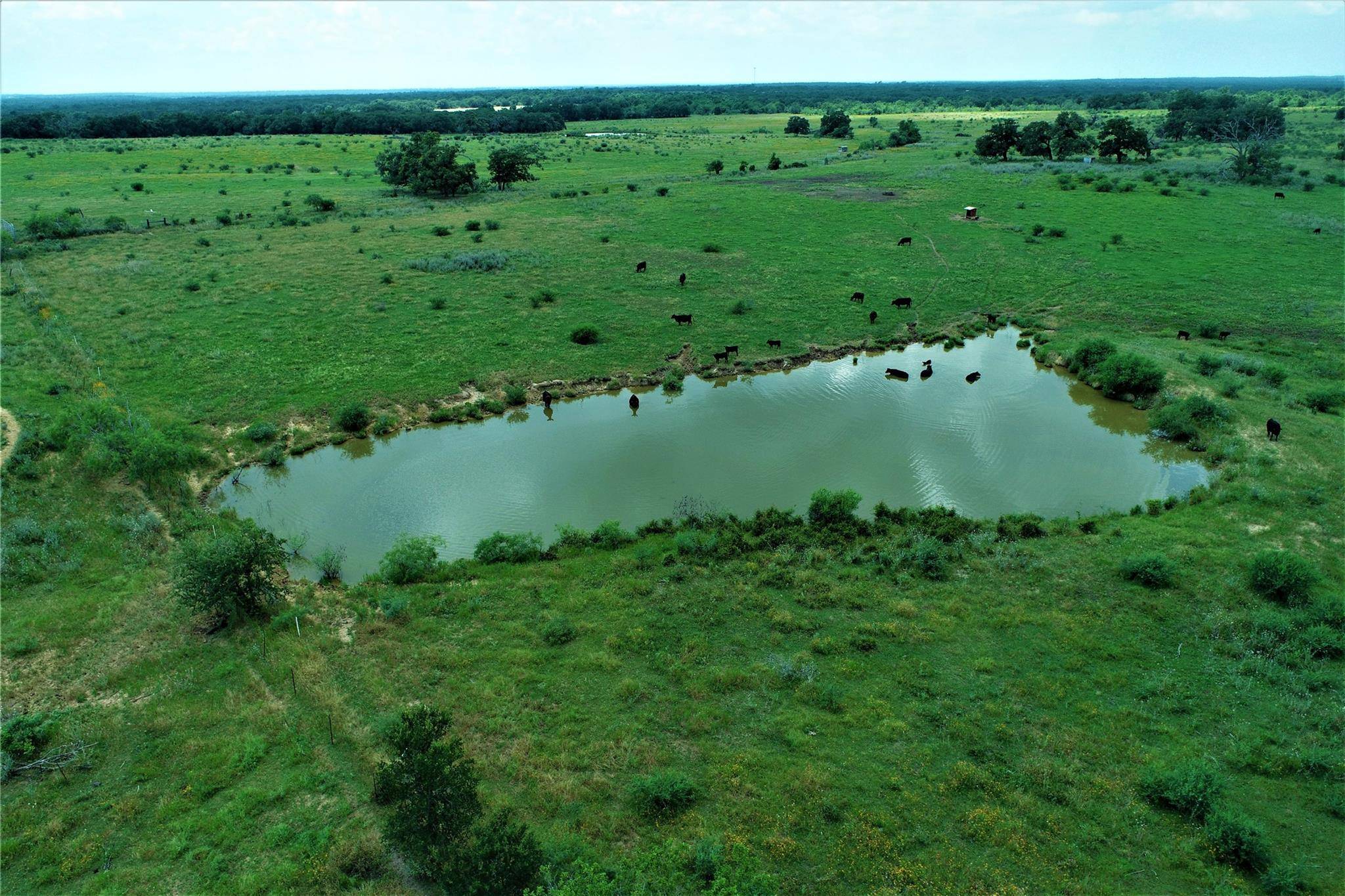 TBD CANNON SNAP RD, Milano, TX 76556