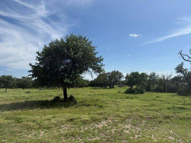 TBD W 29 HWY, Bertram, TX 78605