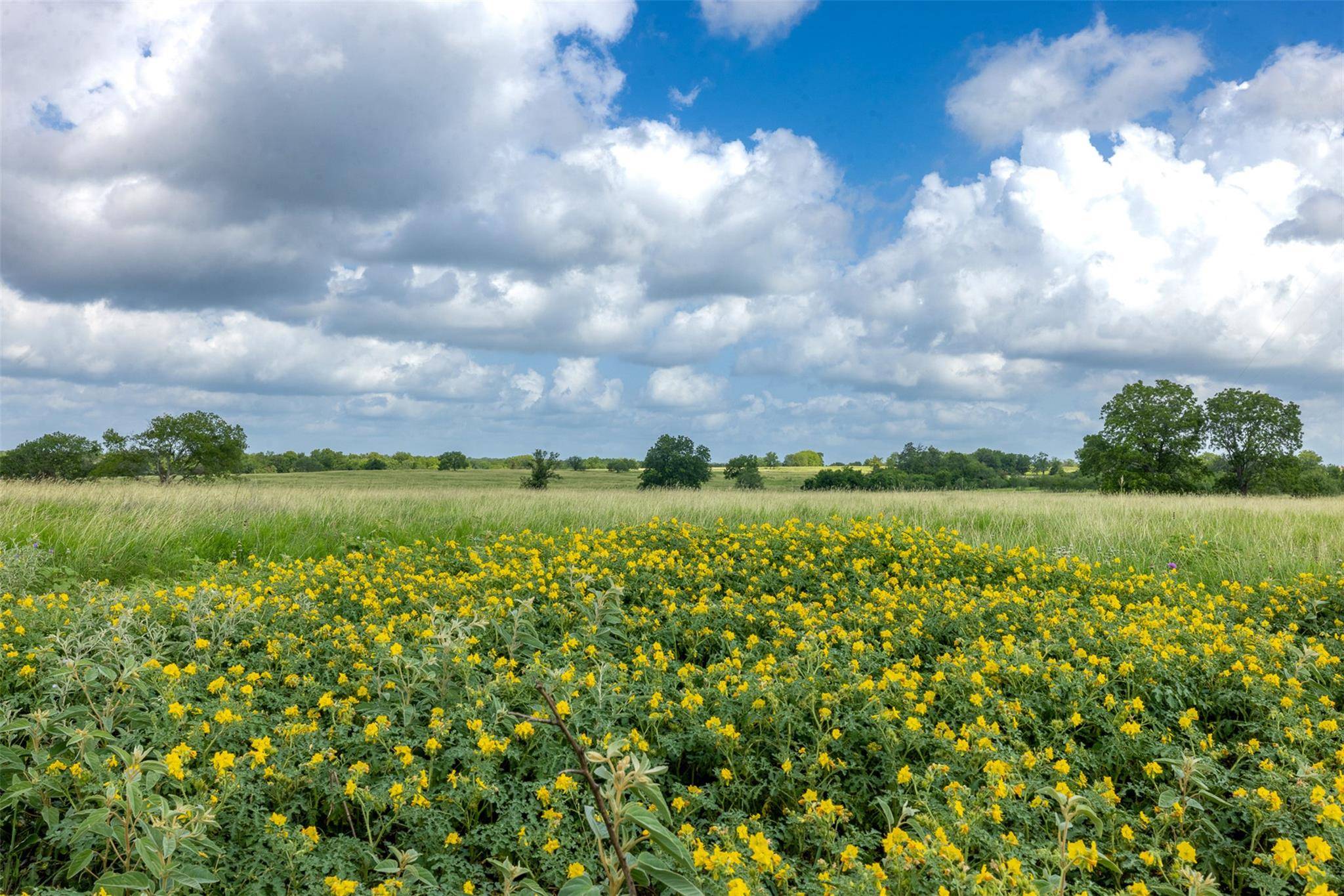 4046 State Highway 21, Caldwell, TX 77835