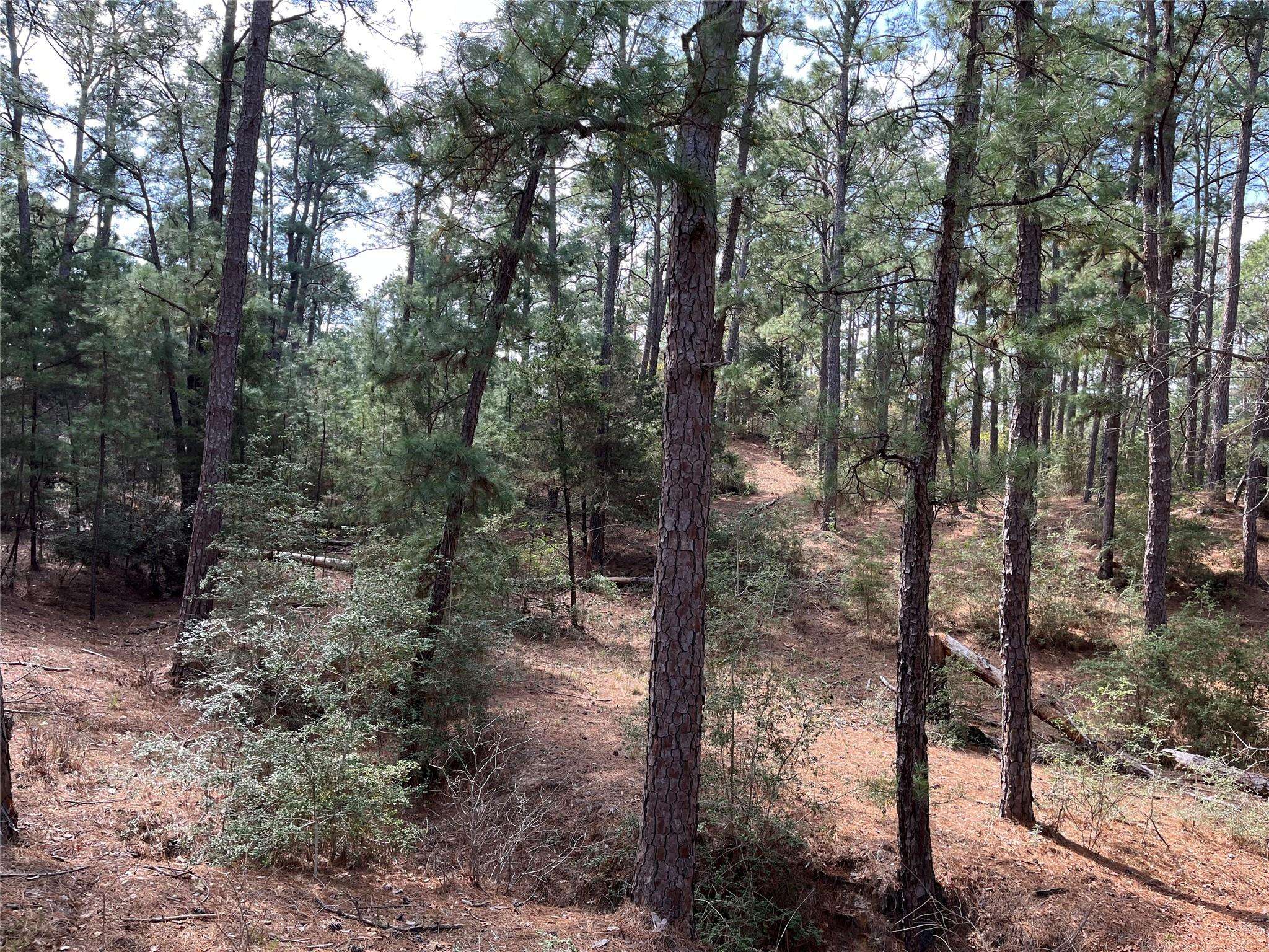 TBD Wahane LN, Bastrop, TX 78602