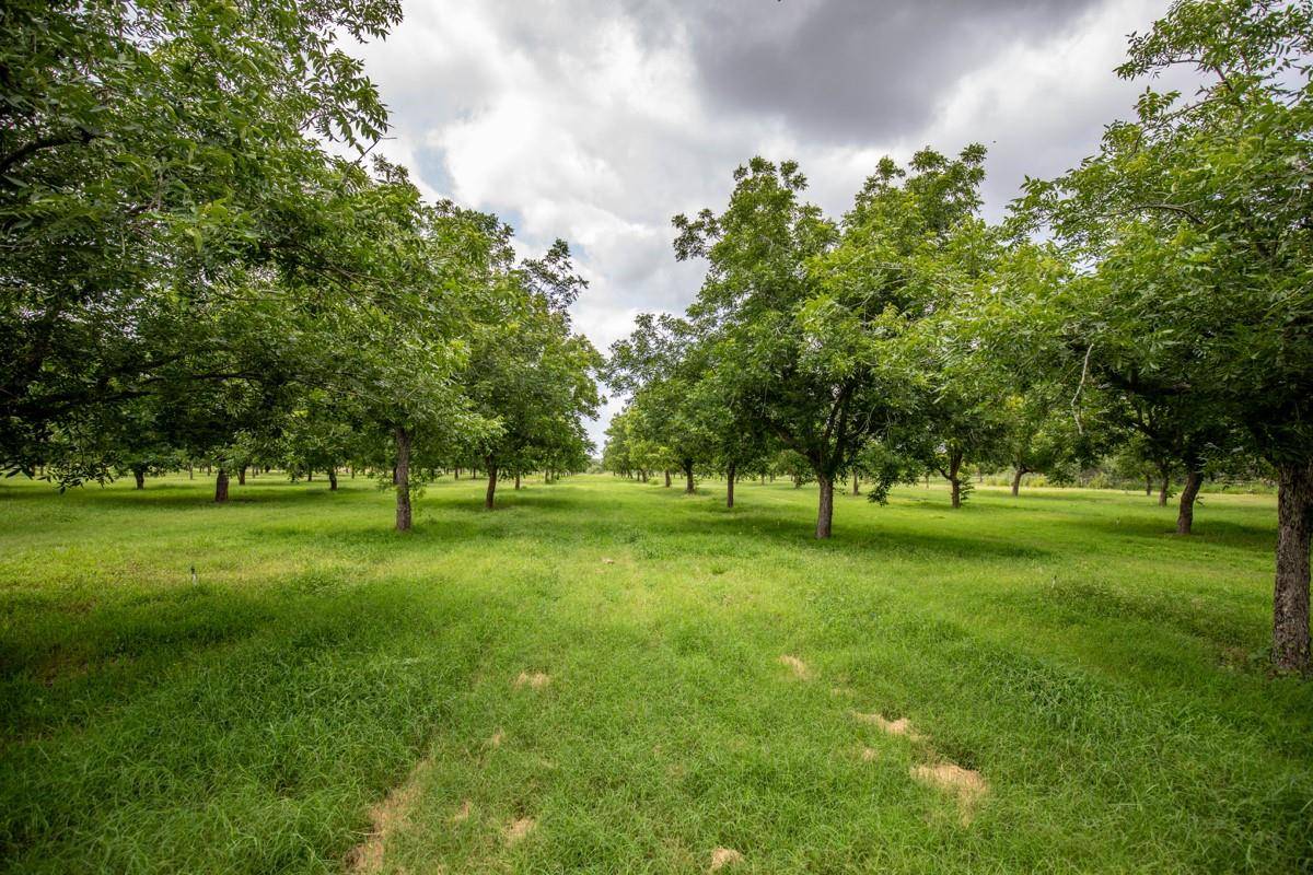 2432 County Road 402, Falfurrias, TX 78355