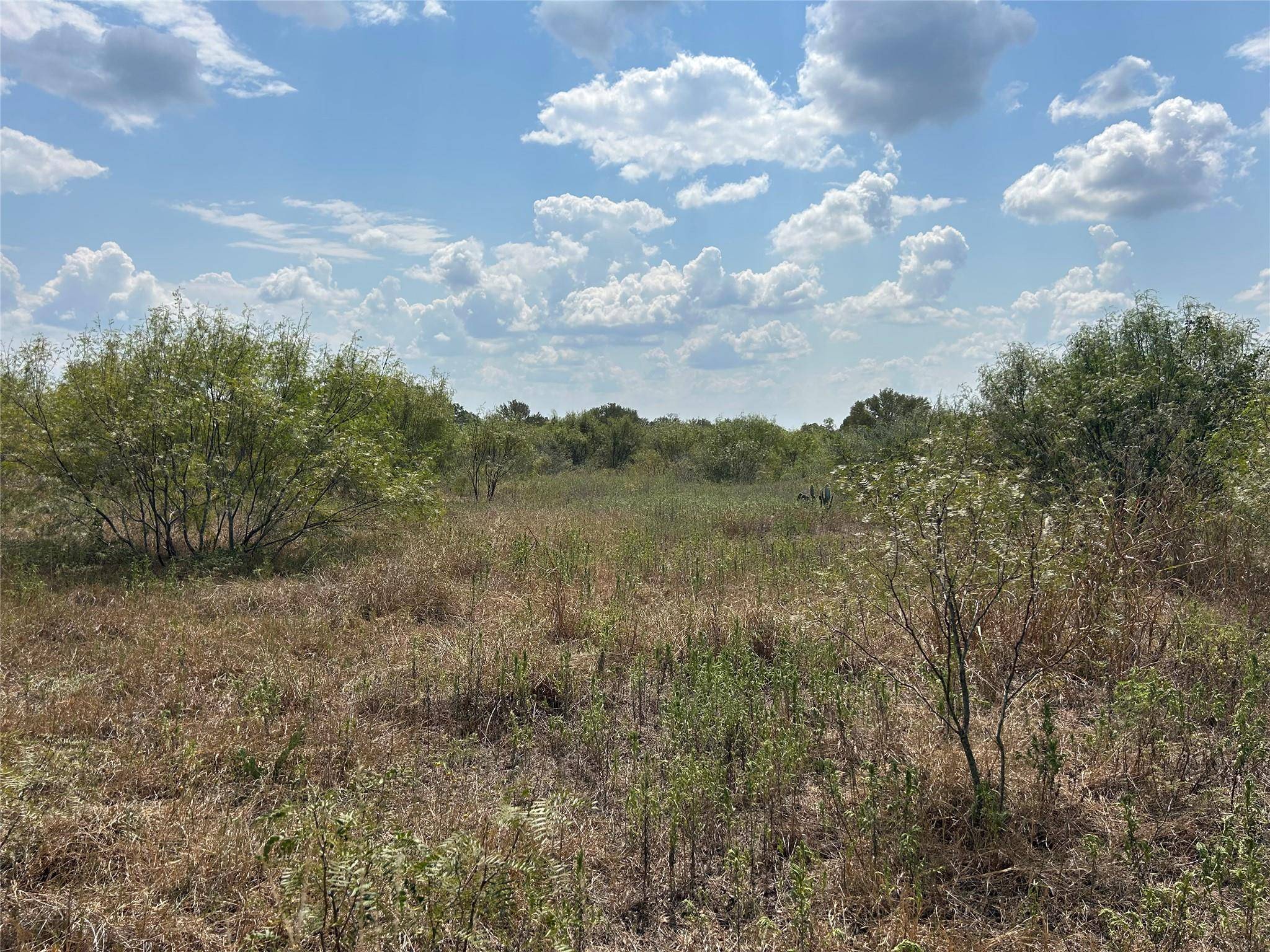 303 Walter Hoffman RD, Cedar Creek, TX 78612
