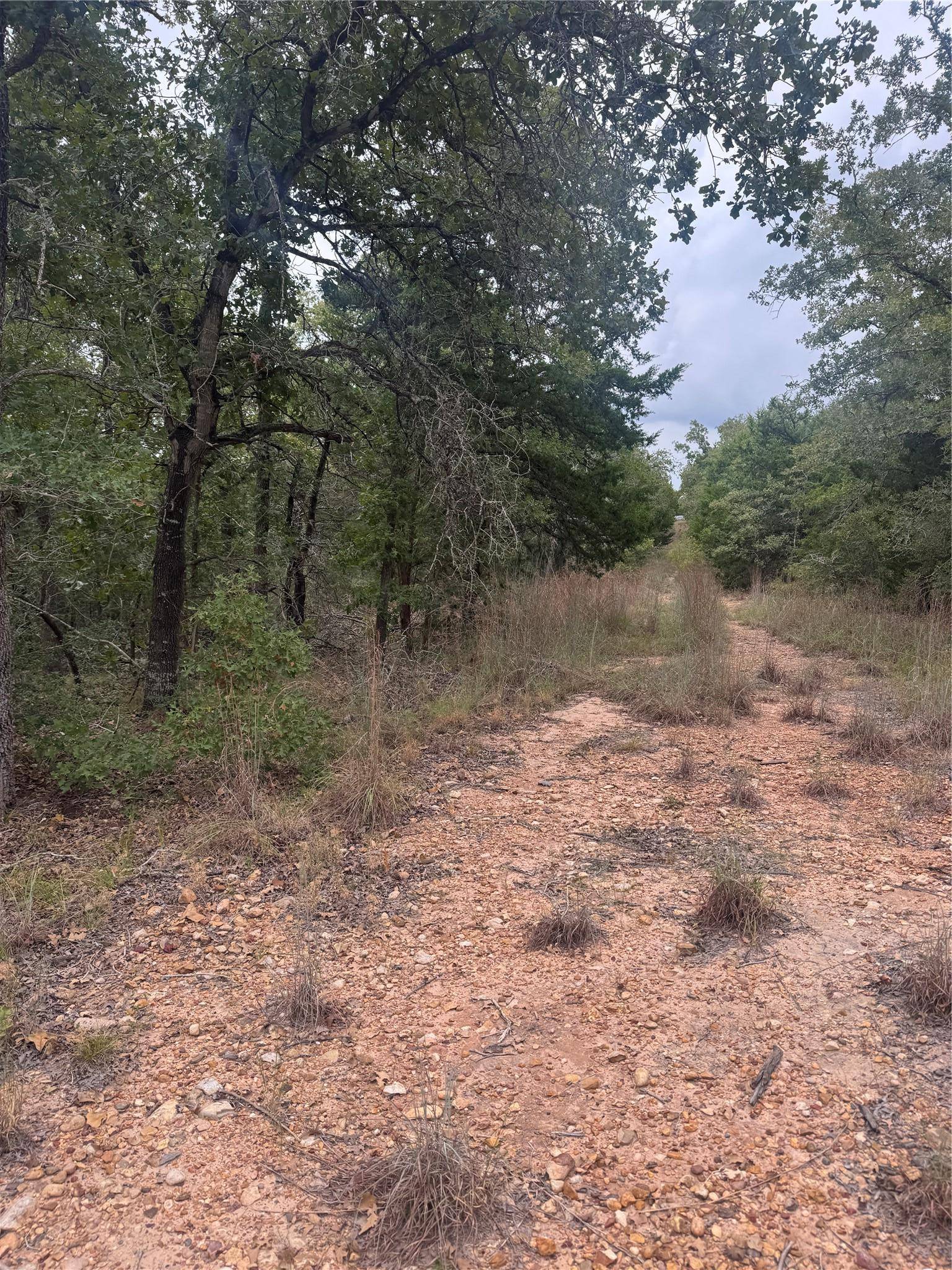 Lot 6 Spruce ST, Paige, TX 78659