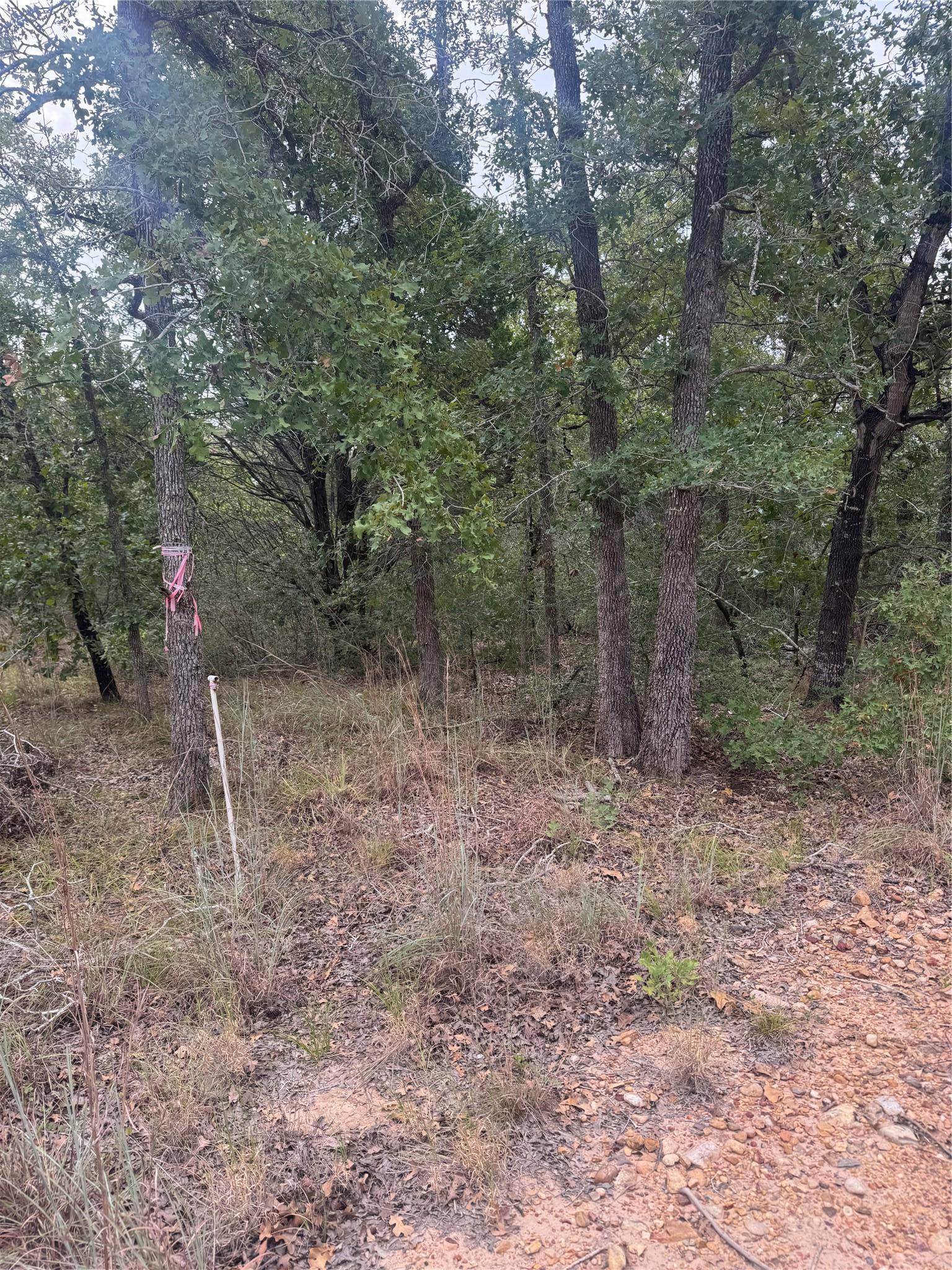 Lot 6 Spruce ST, Paige, TX 78659