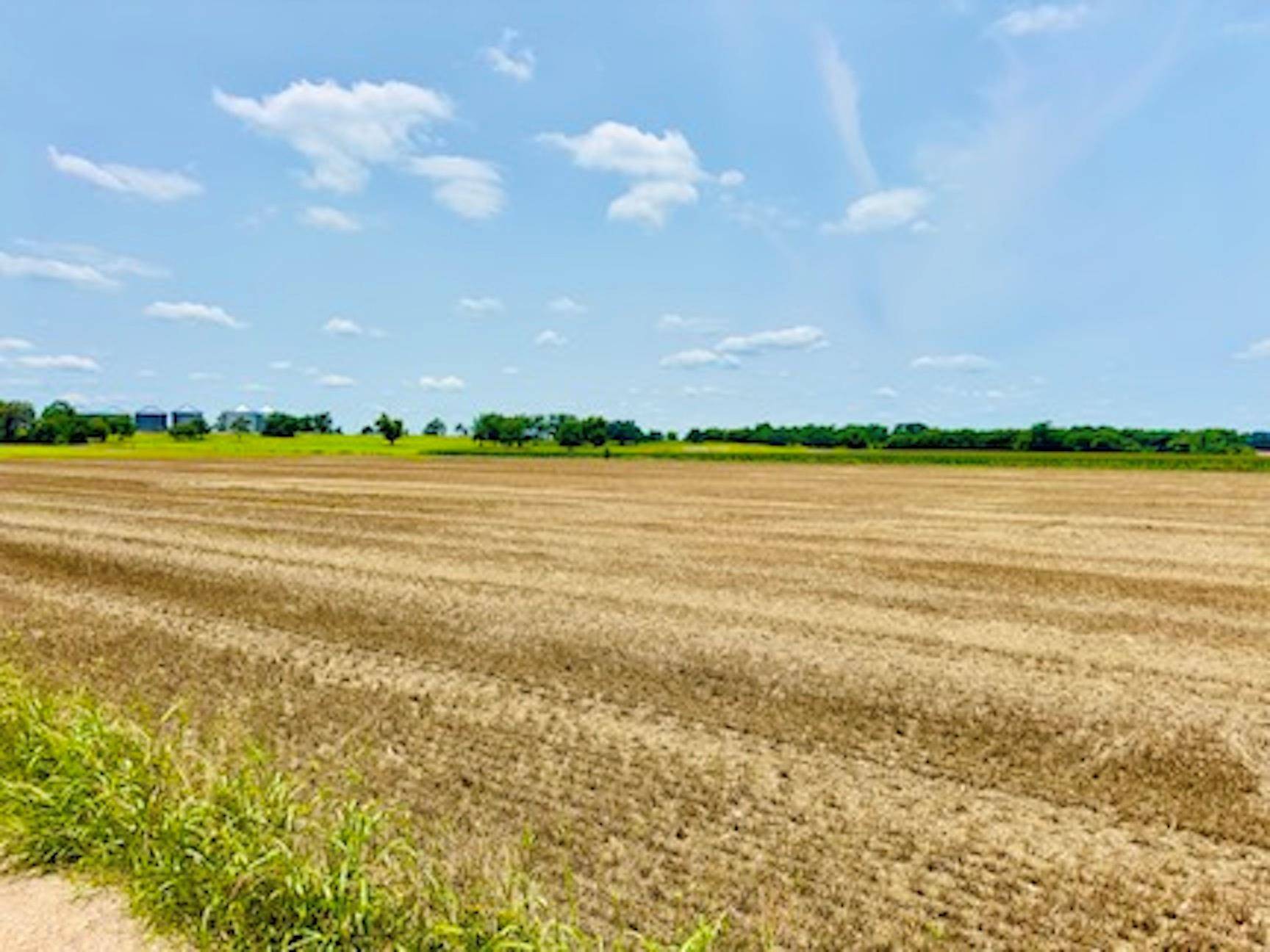 TBD1 FM 406, Buckholts, TX 76518
