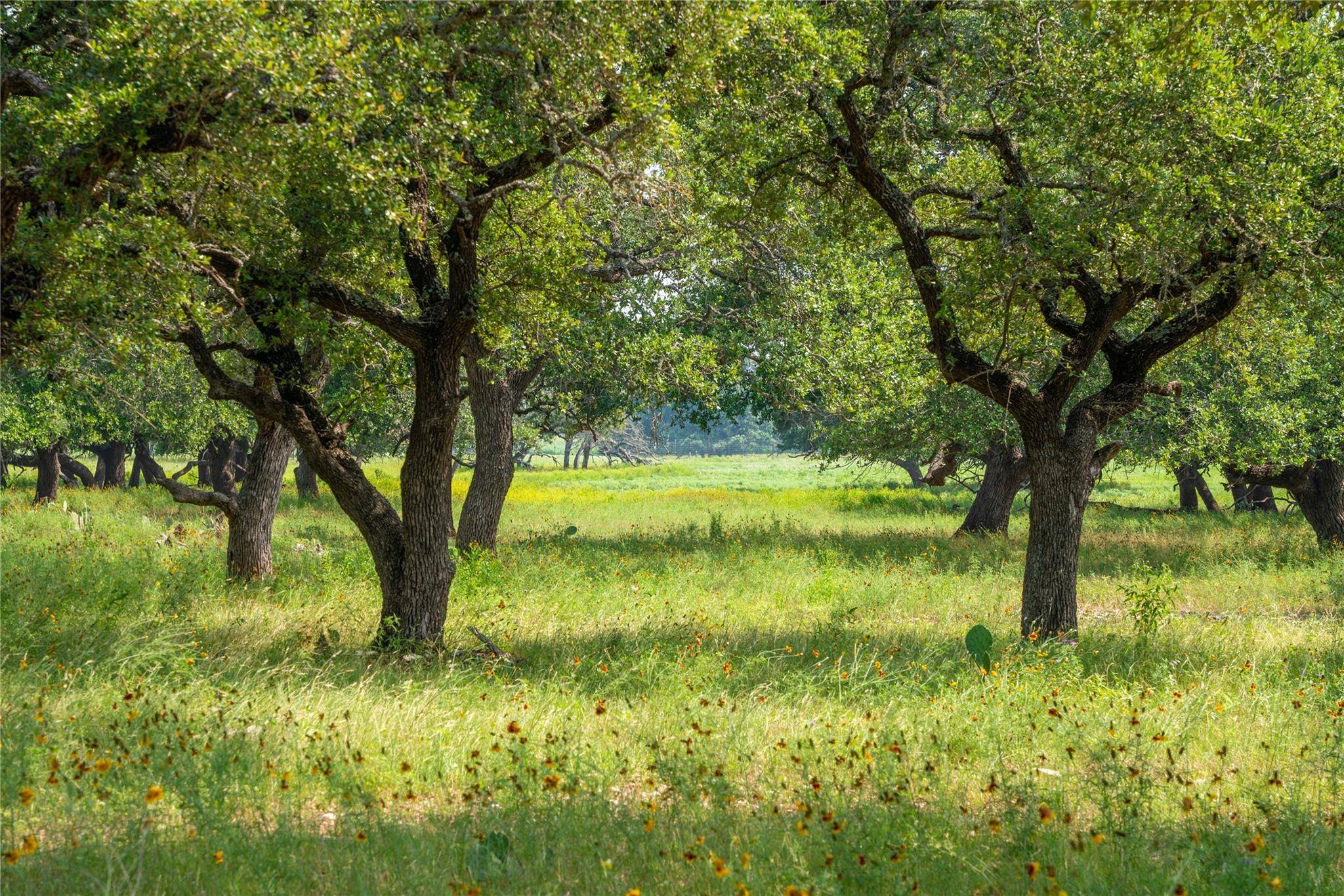 000 FM 2340, Burnet, TX 78611