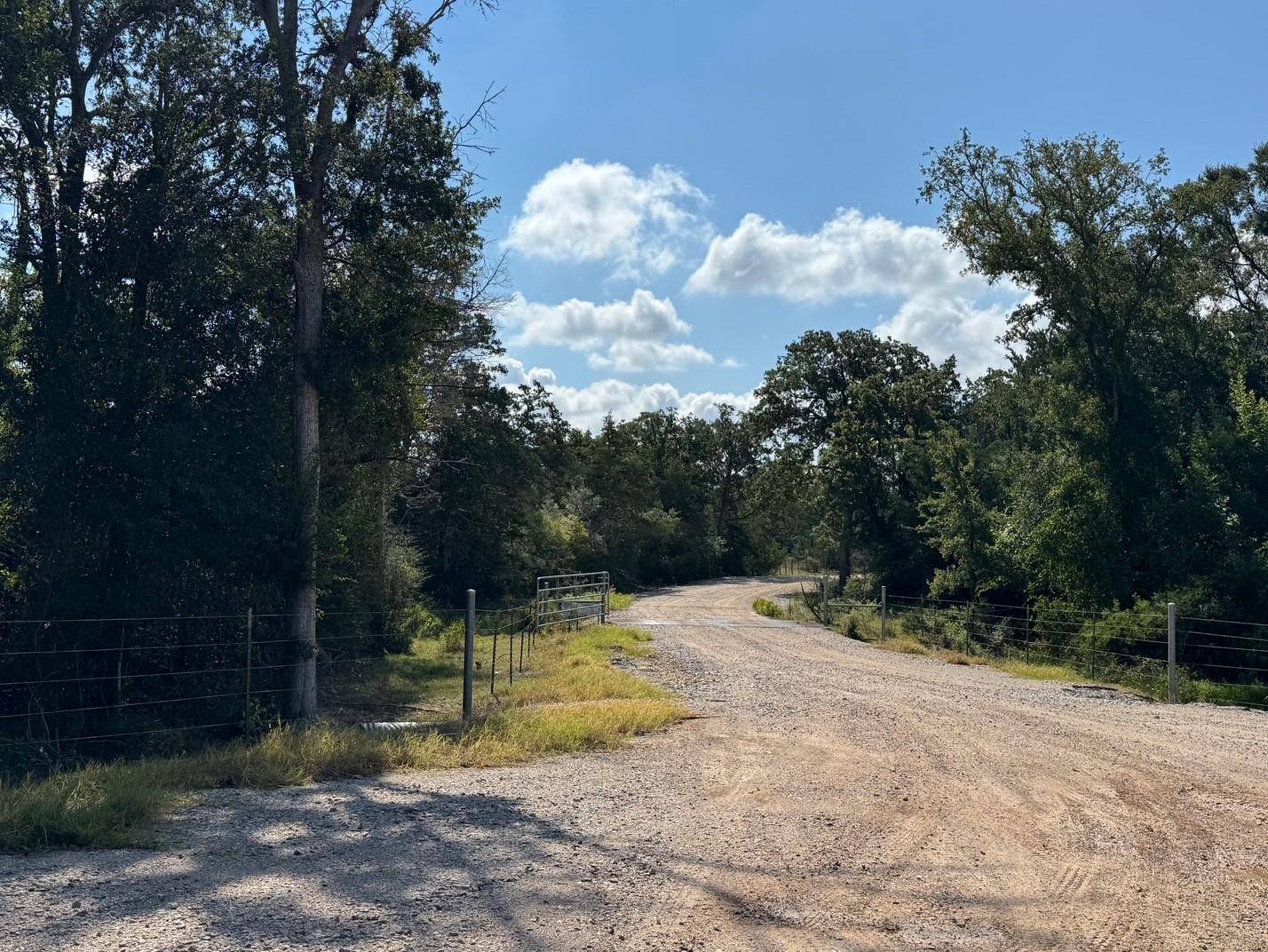 13115 Schoenemann RD, Carmine, TX 78932