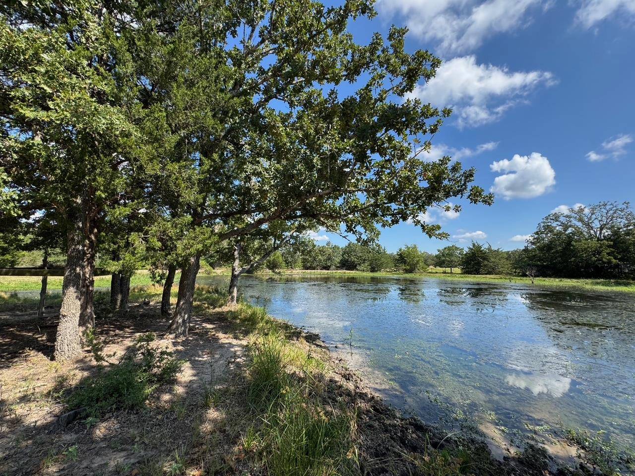 13115 Schoenemann RD, Carmine, TX 78932