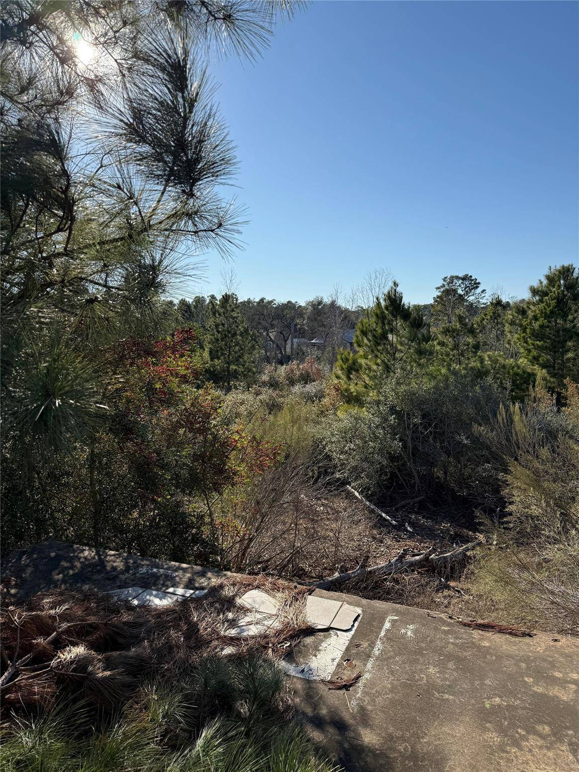 164 Manawianui DR, Bastrop, TX 78602