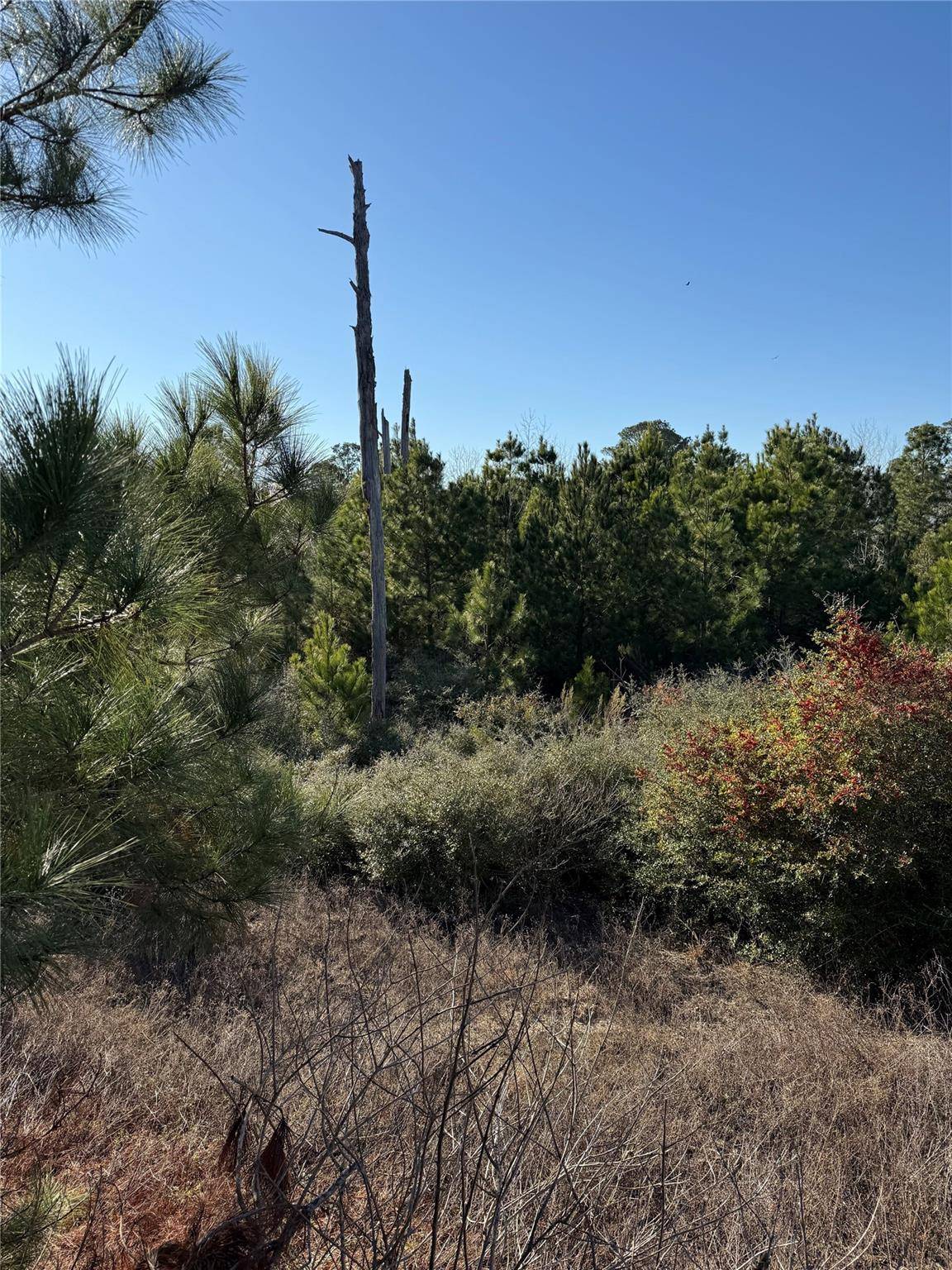 164 Manawianui DR, Bastrop, TX 78602