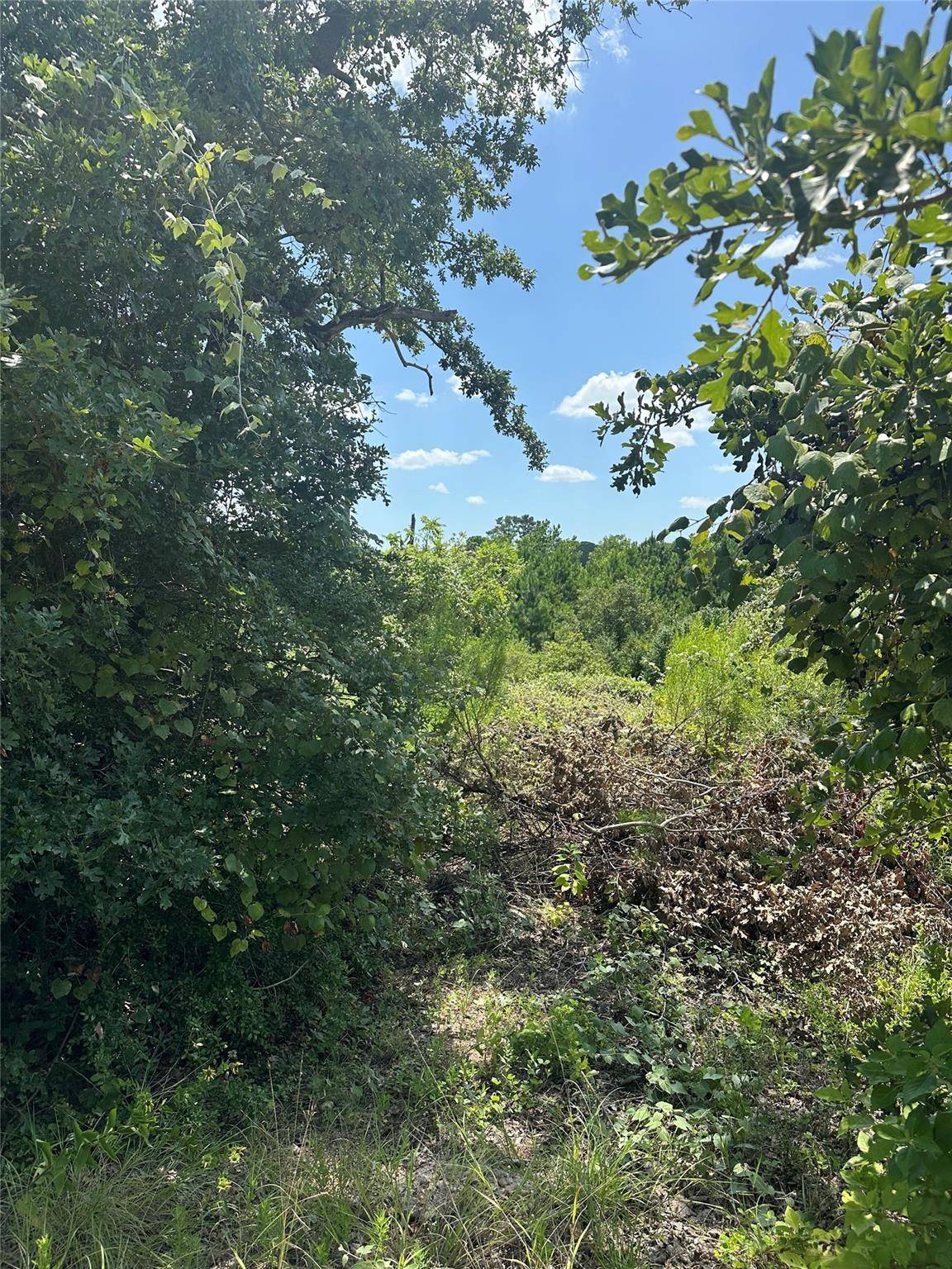 164 Manawianui DR, Bastrop, TX 78602