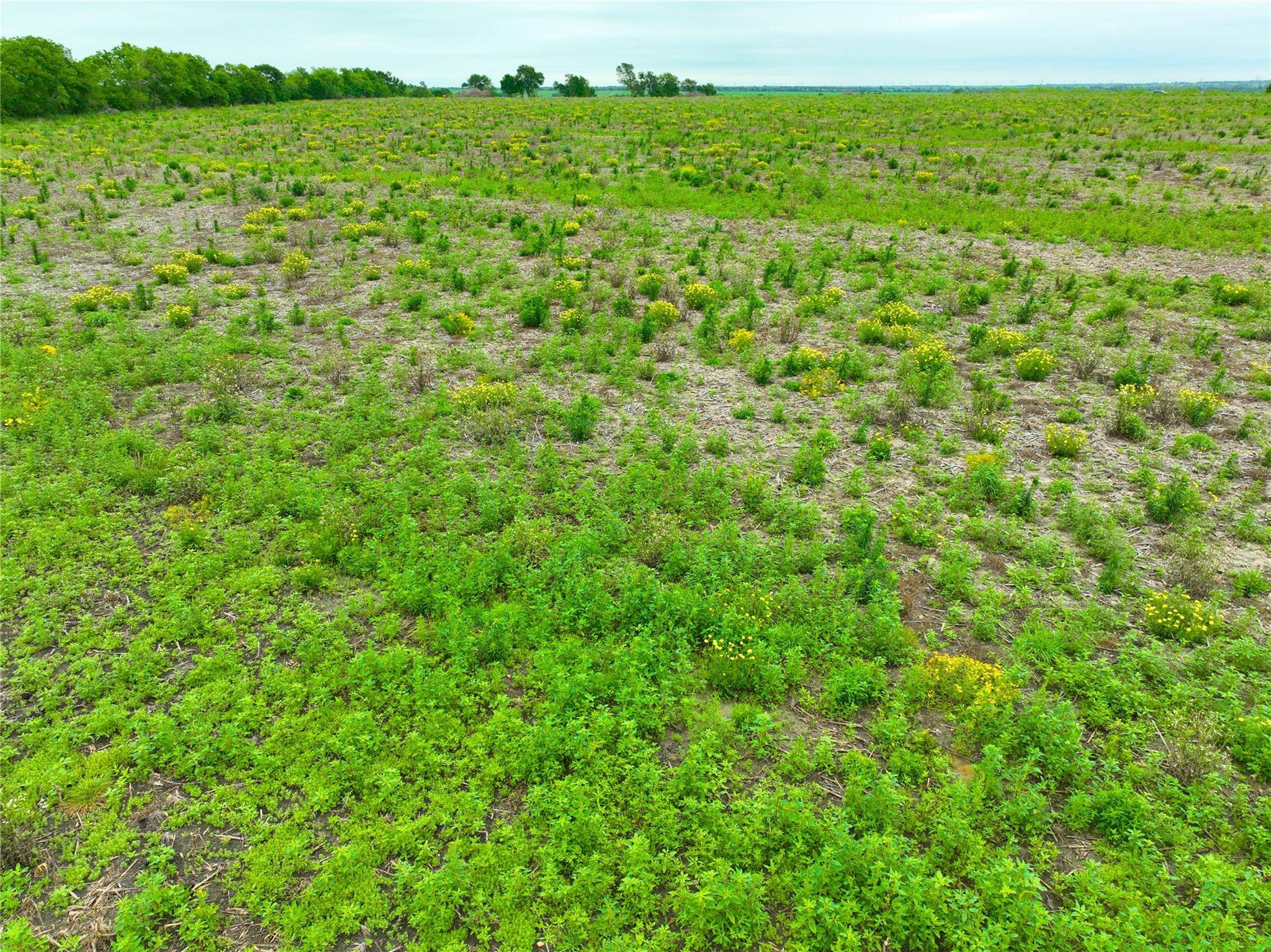 TBD Lot 2, Blk 2 132 RD, Burlington, TX 76518