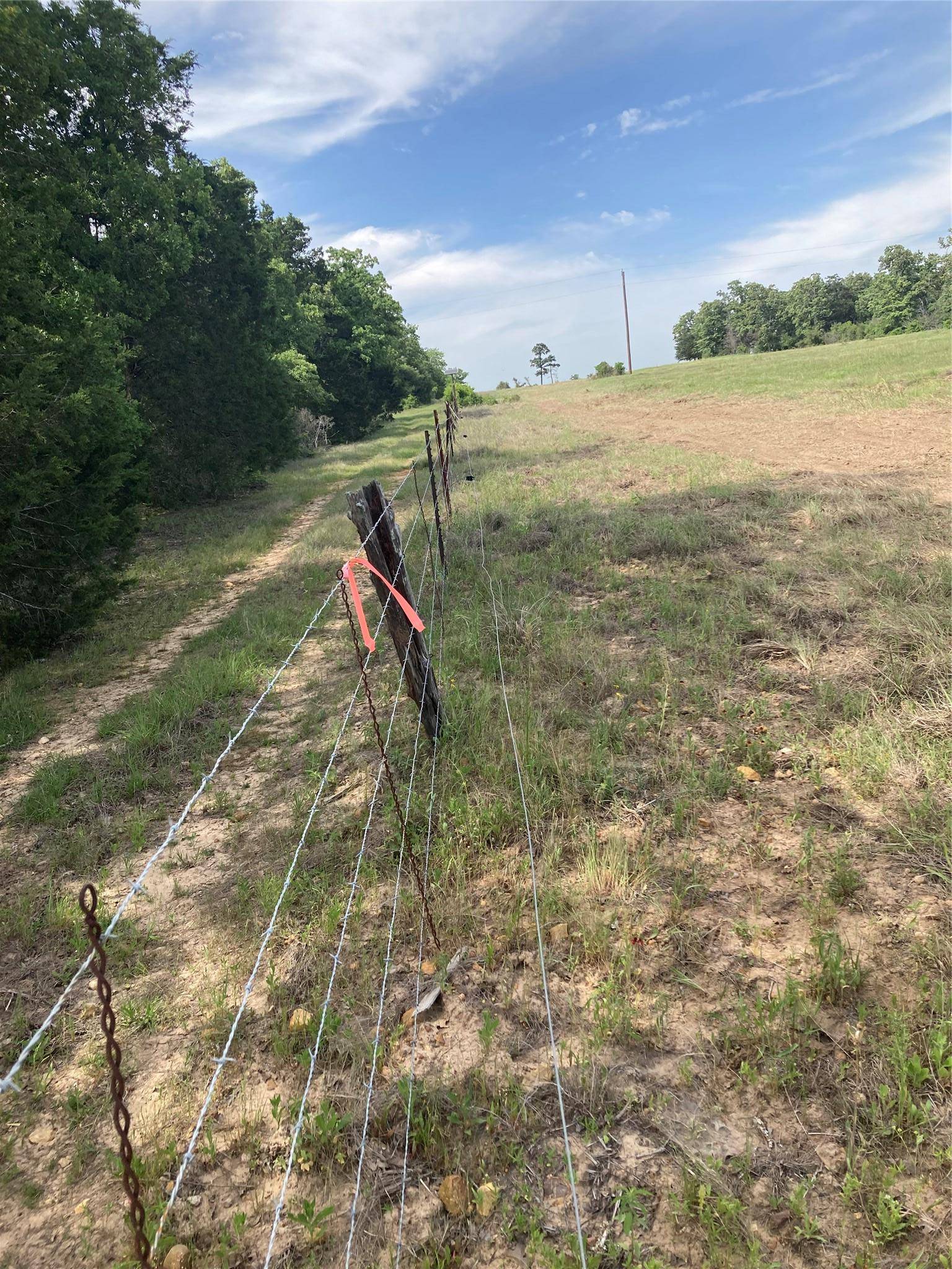 1078 Old Pin Oak RD #Tracts 1 & 2, Paige, TX 78659