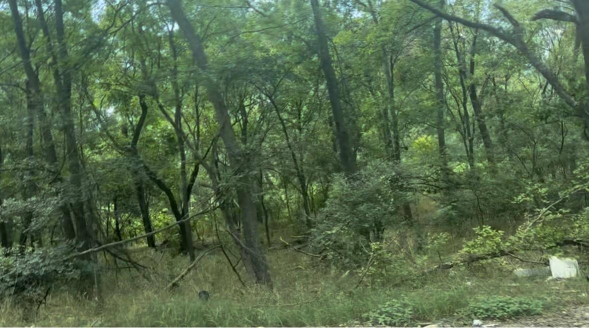 4205 Imperial DR, Austin, TX 78725