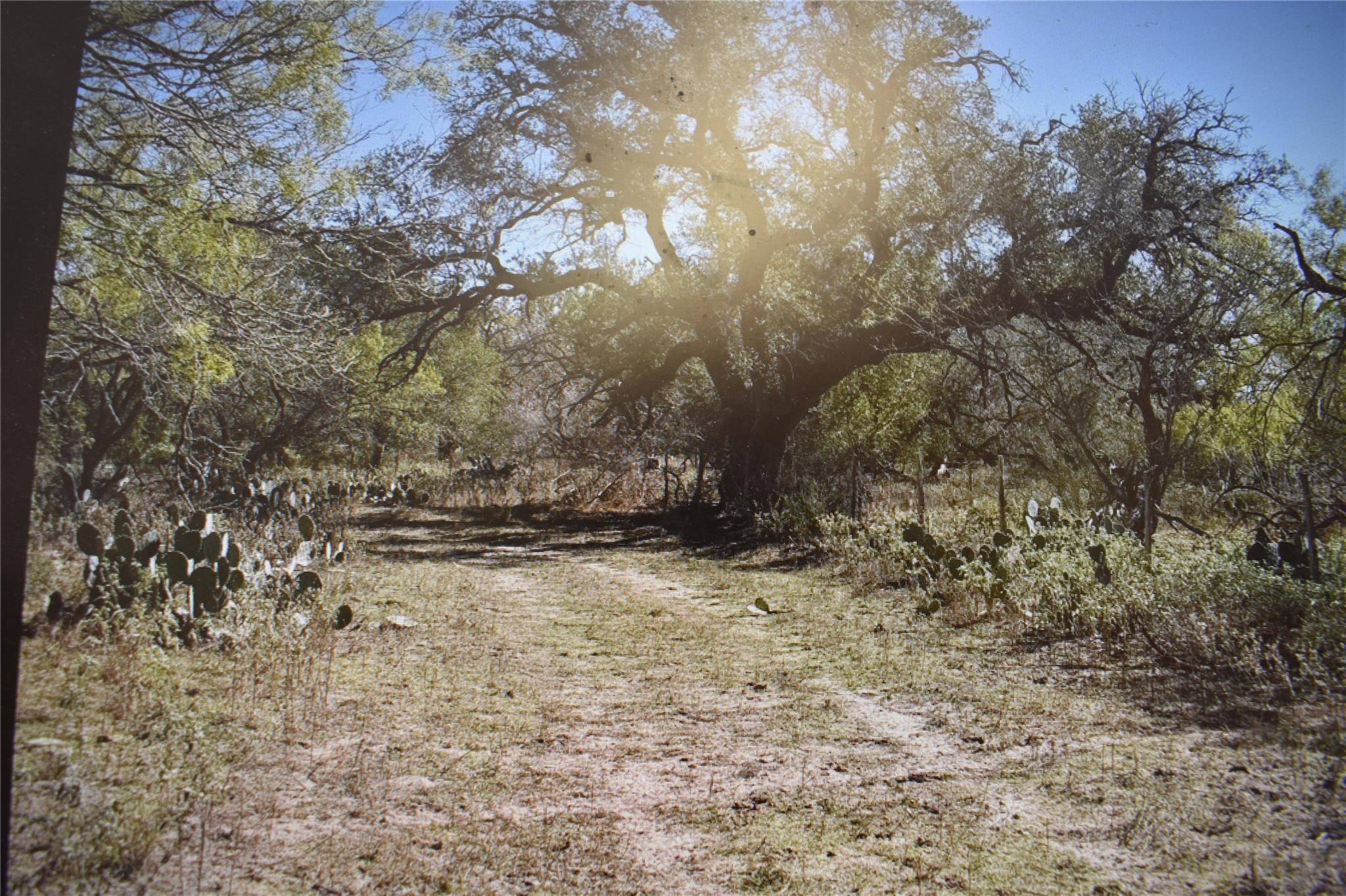 5030 Fm 2504, Poteet, TX 78065