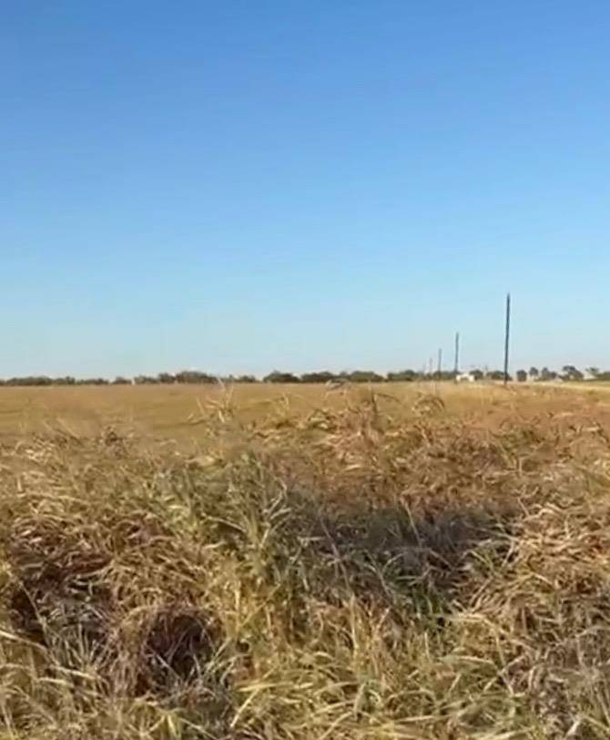 TBD County Road 133 CTR #Lot 6, Ben Arnold, TX 76519