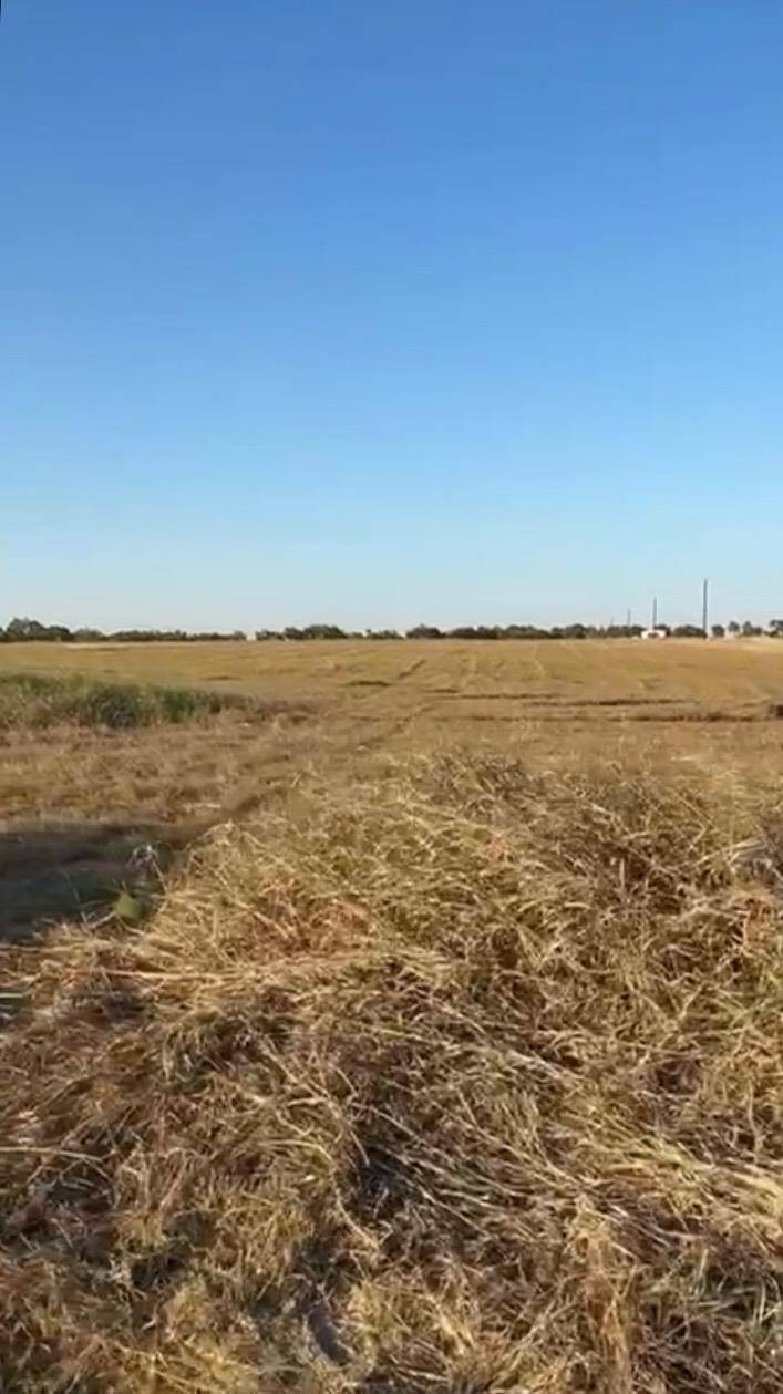 TBD County Road 133 CTR #Lot 6, Ben Arnold, TX 76519
