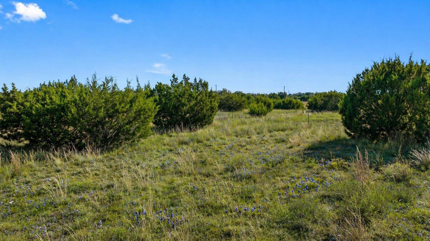 386 Appaloosa RUN, Johnson City, TX 78663