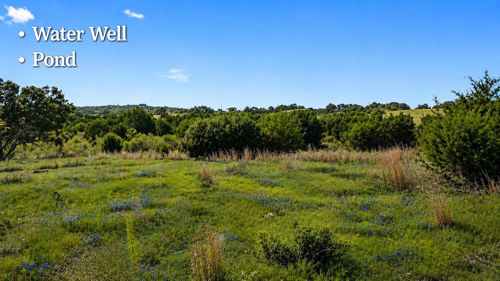 386 Appaloosa RUN, Johnson City, TX 78663