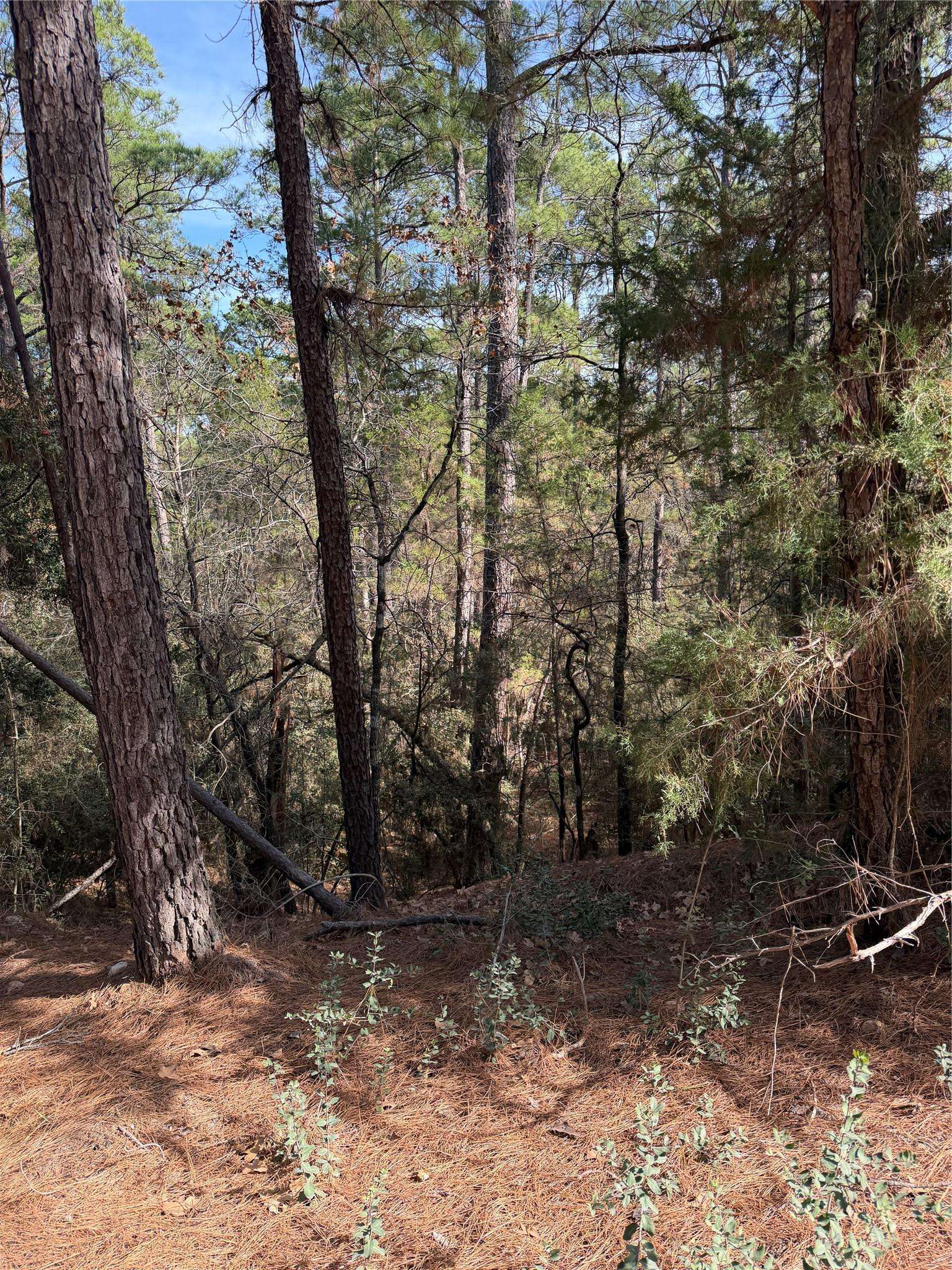 Lot 266 Wainee DR, Bastrop, TX 78602