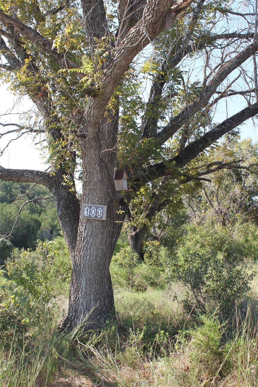 Lot 100 Saddle Ridge DR, Bertram, TX 78605