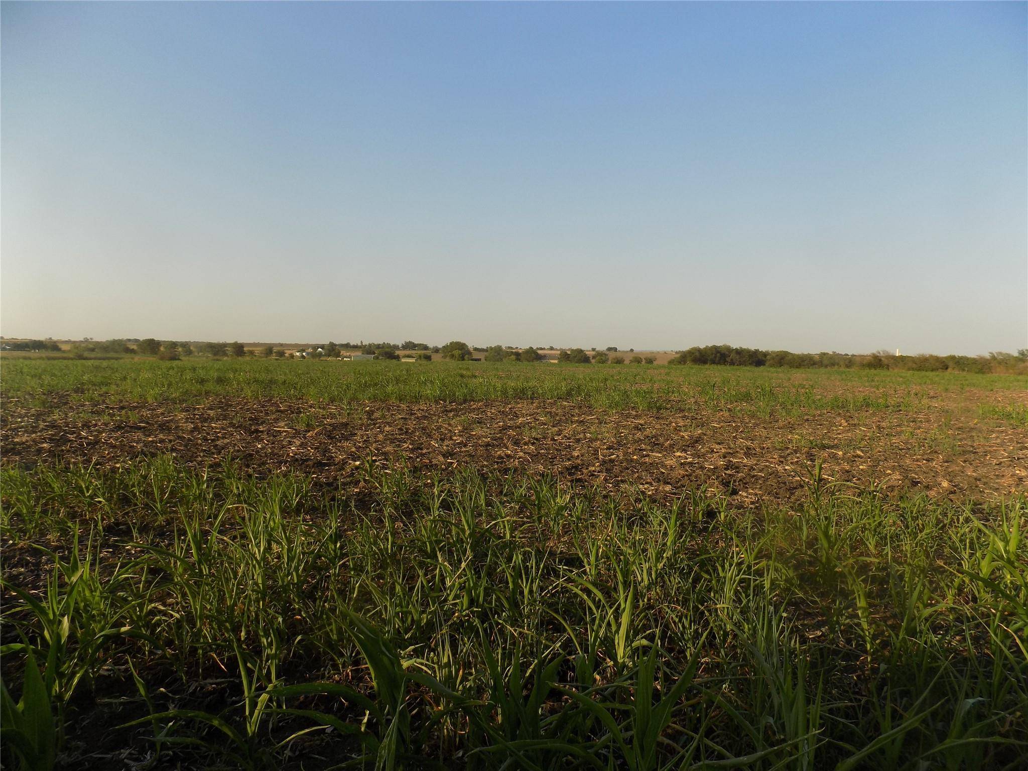 0 Krause RD, Holland, TX 76534