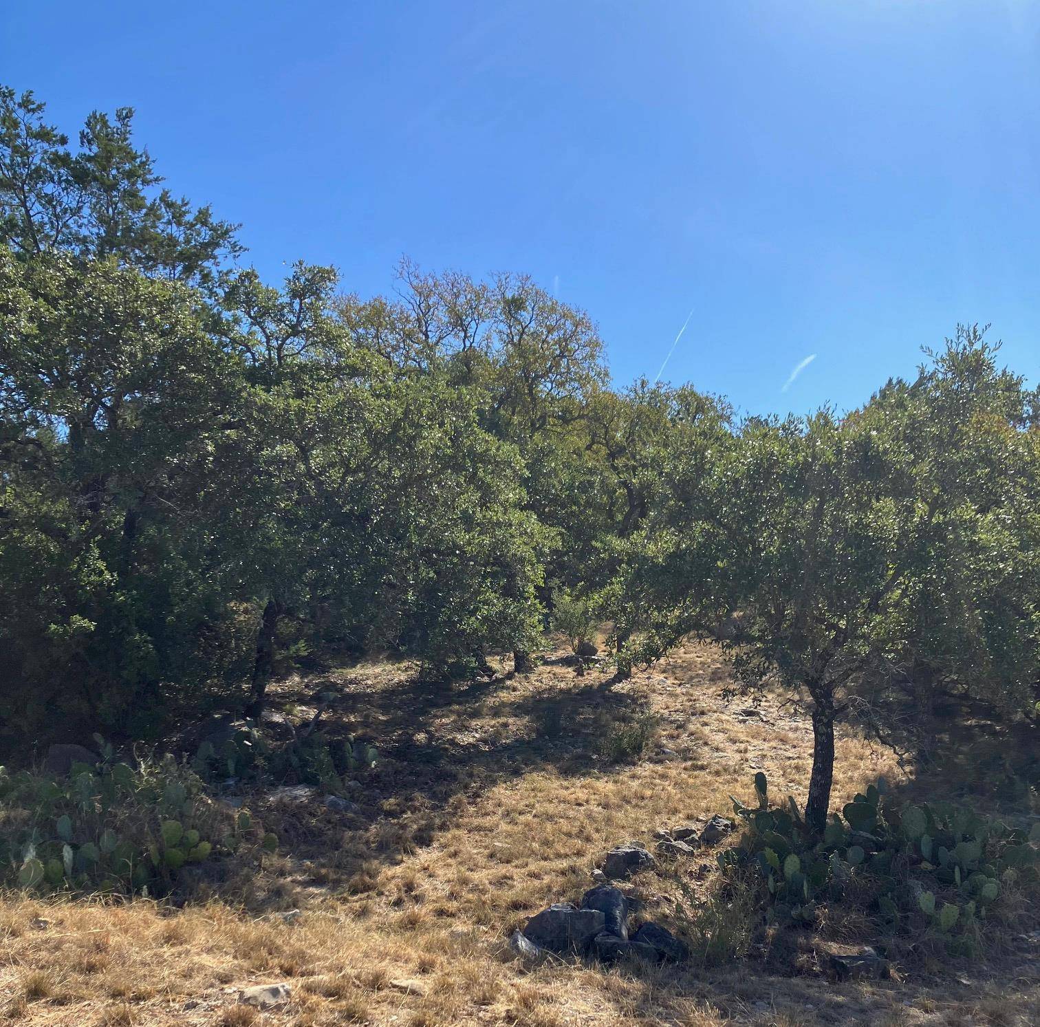 405 Yucca at Quick Draw, Horseshoe Bay, TX 78657