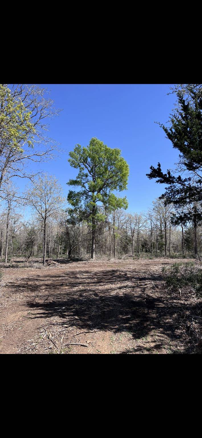 1304 Walleye Creek Trail ST, Lexington, TX 78947