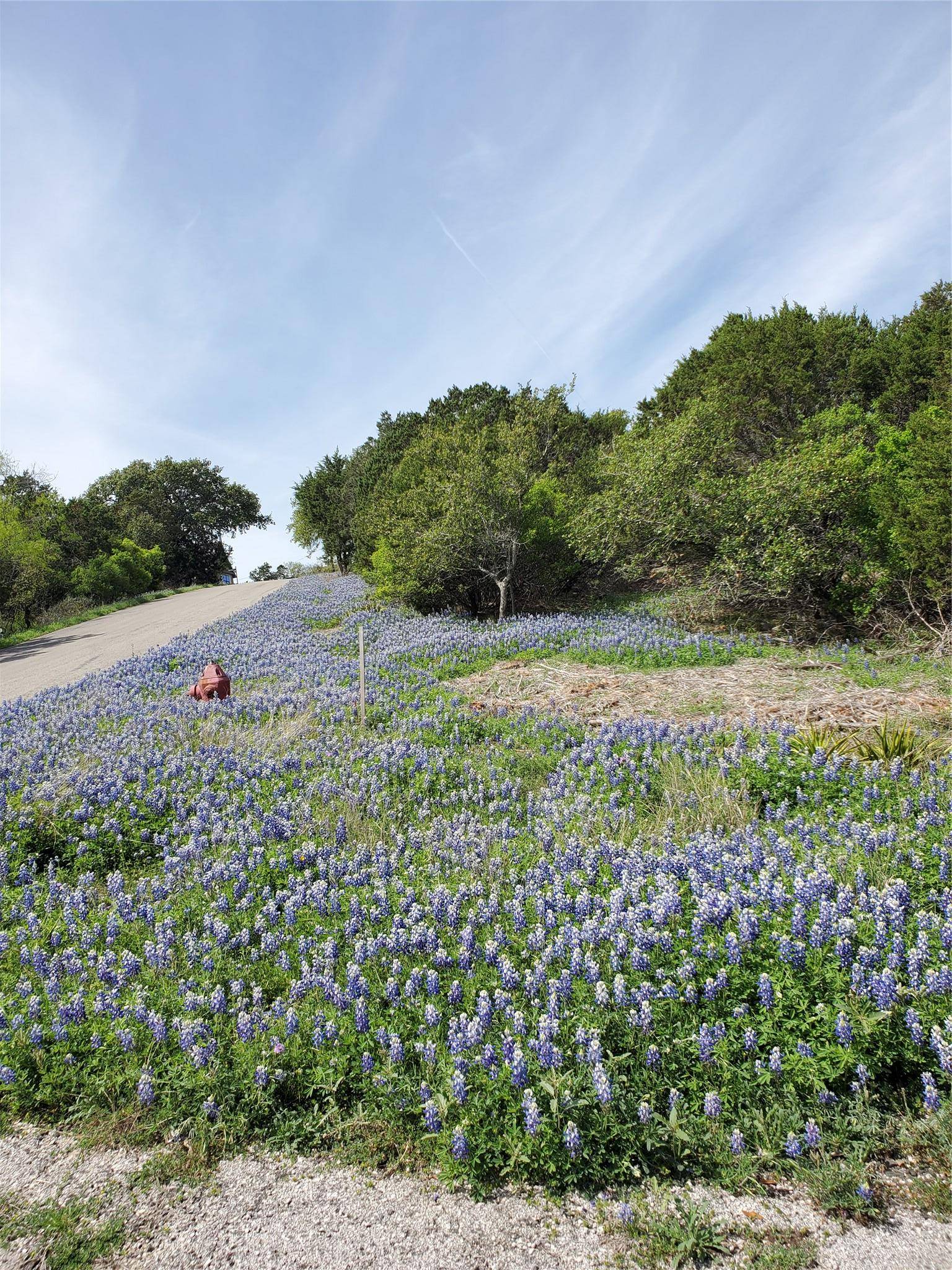 000 Dew Drop ST, Horseshoe Bay, TX 78657