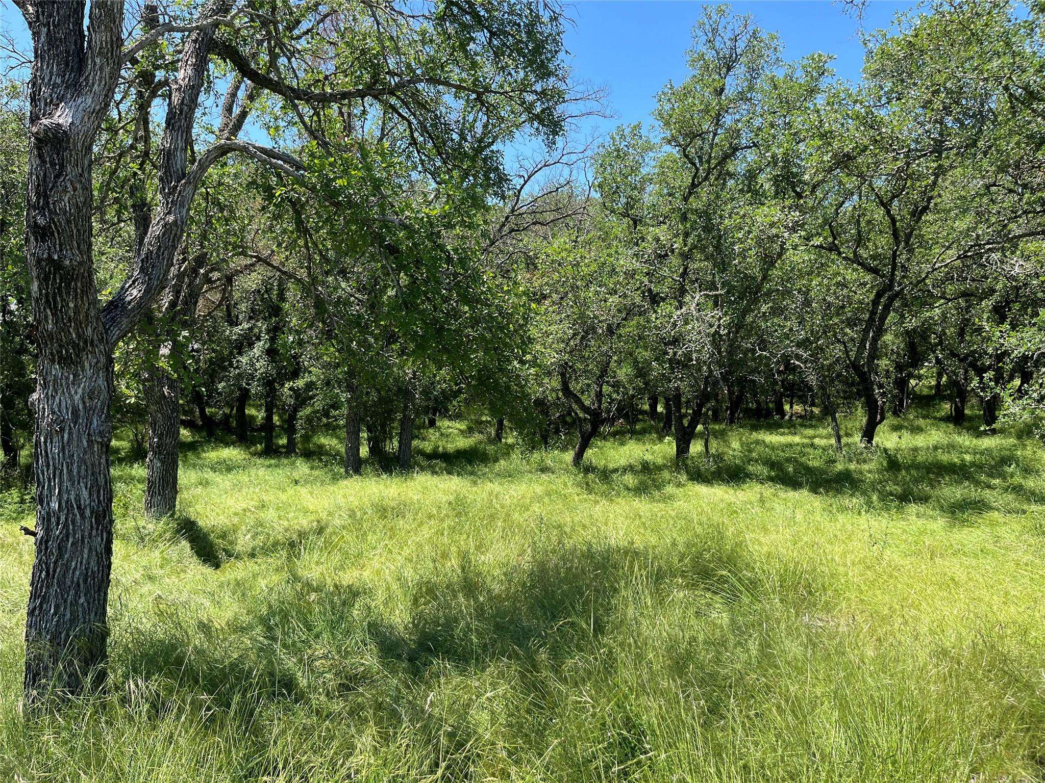 2506 Oak TRL, Horseshoe Bay, TX 78657