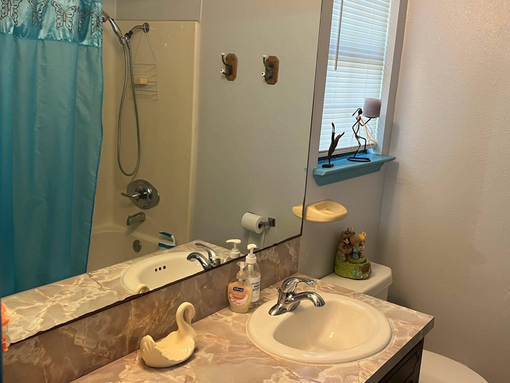 217 GREEN PASTURE DR, Hutto, TX 78634