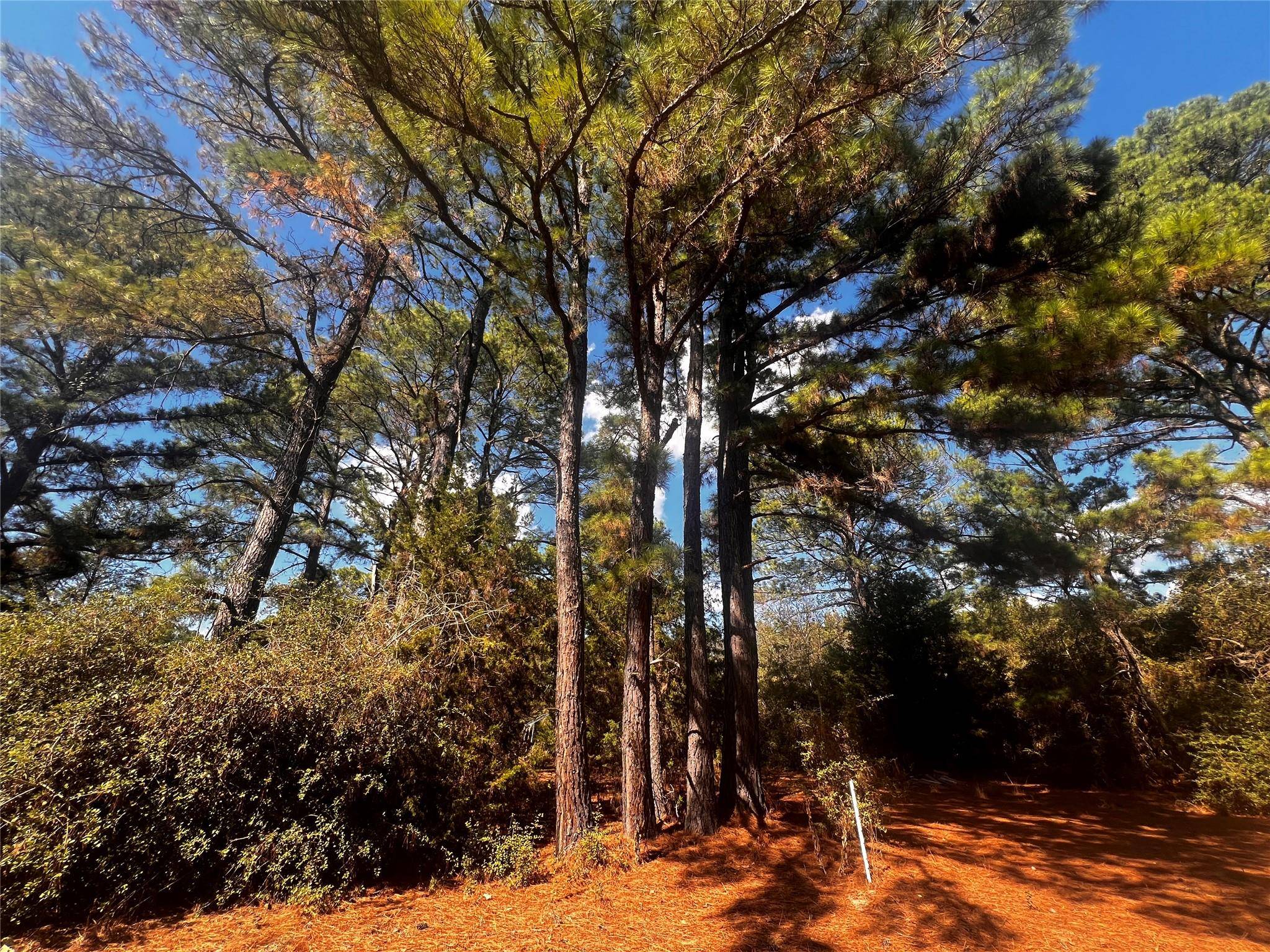 411 Laura LN, Bastrop, TX 78602