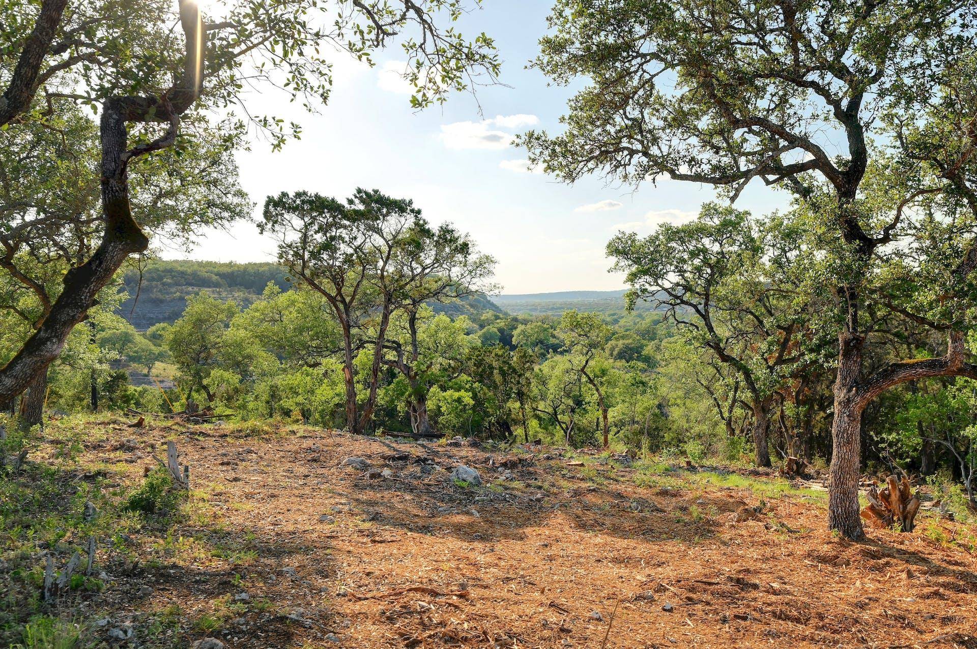 10700 FM306, New Braunfels, TX 78132