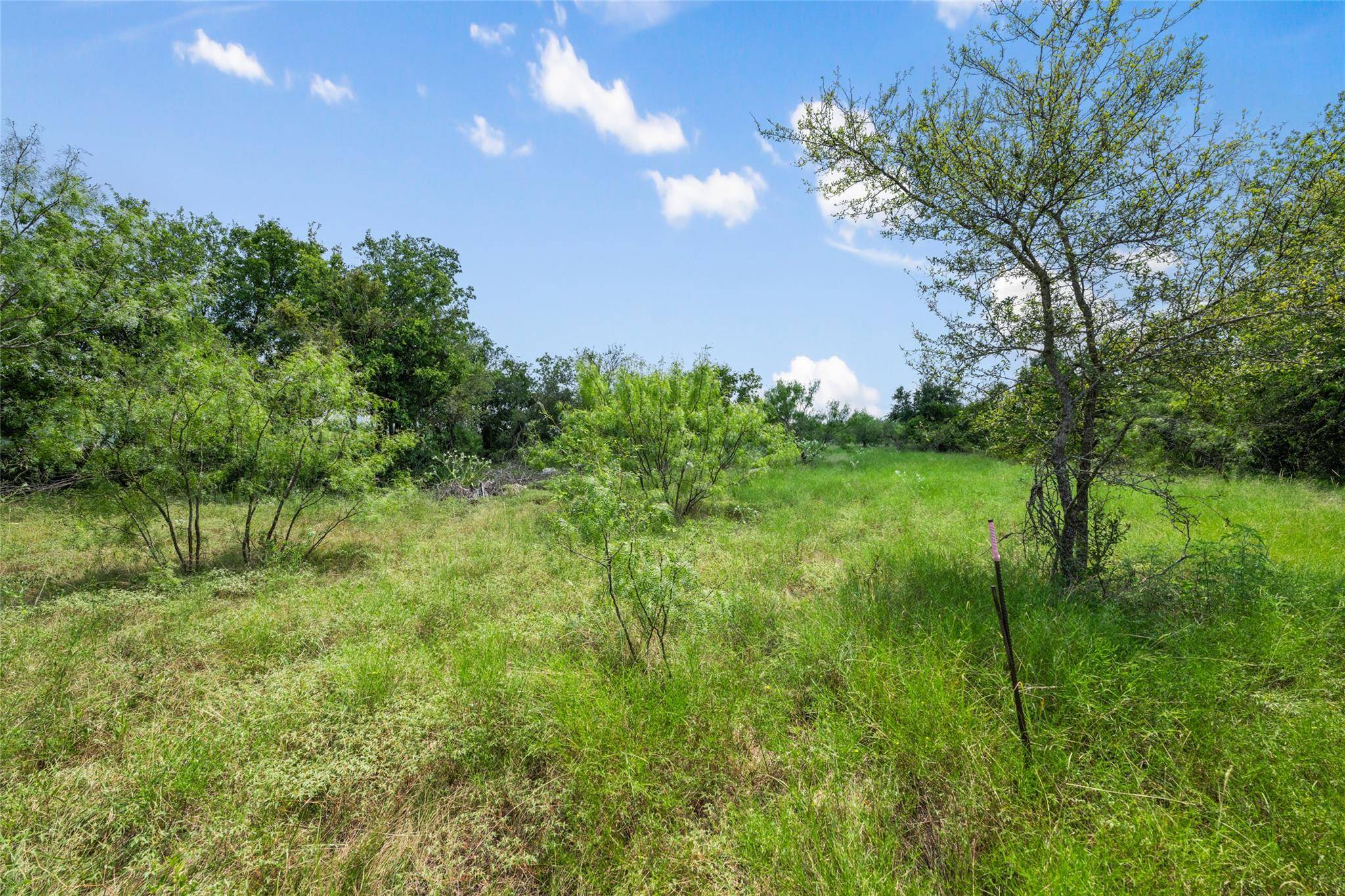 925 N 1st ST, Jarrell, TX 76537
