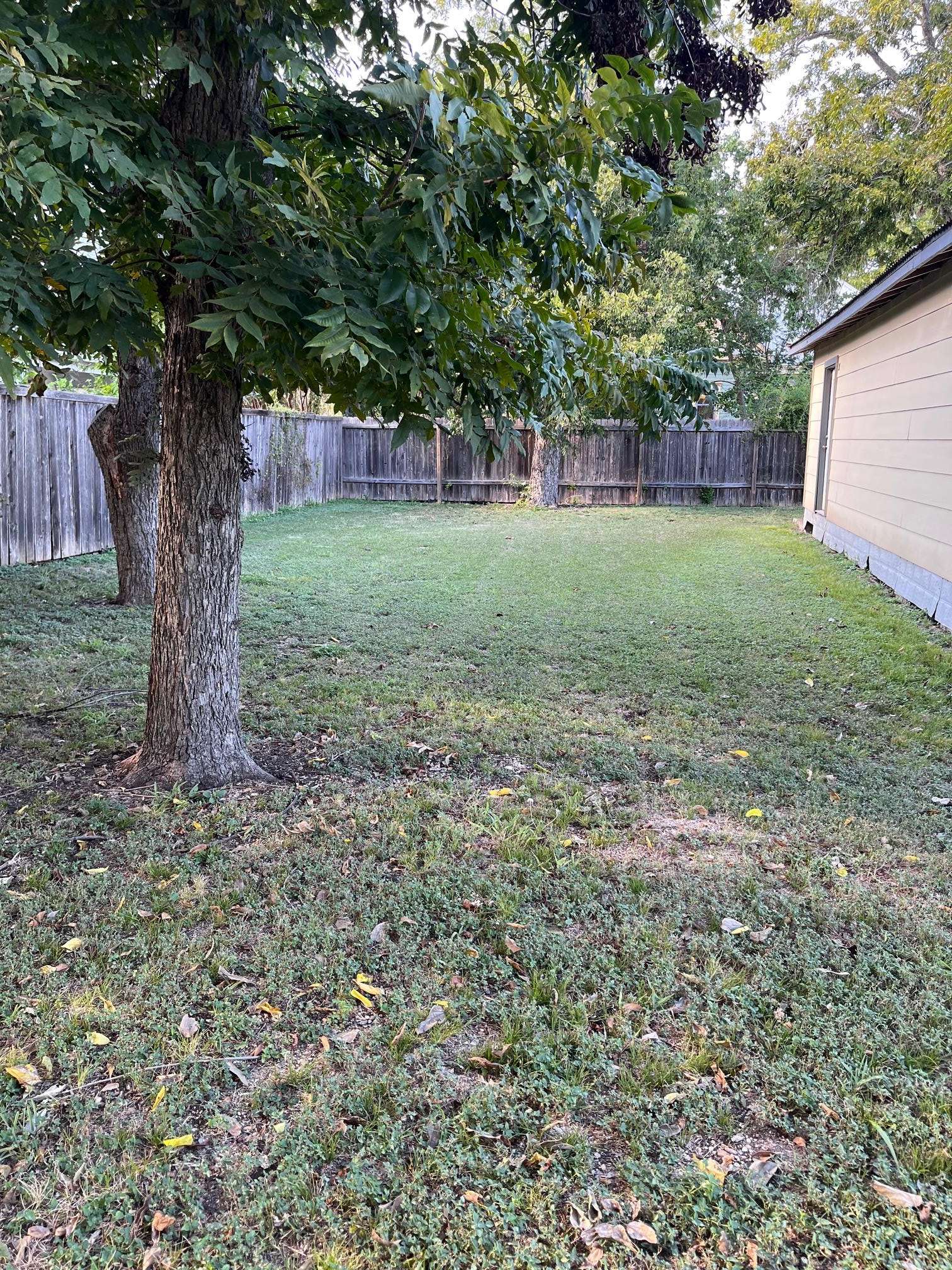 115 Guadalupe ST, Lockhart, TX 78644