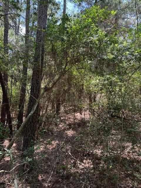 Lot 250 Hekili DR, Bastrop, TX 78602