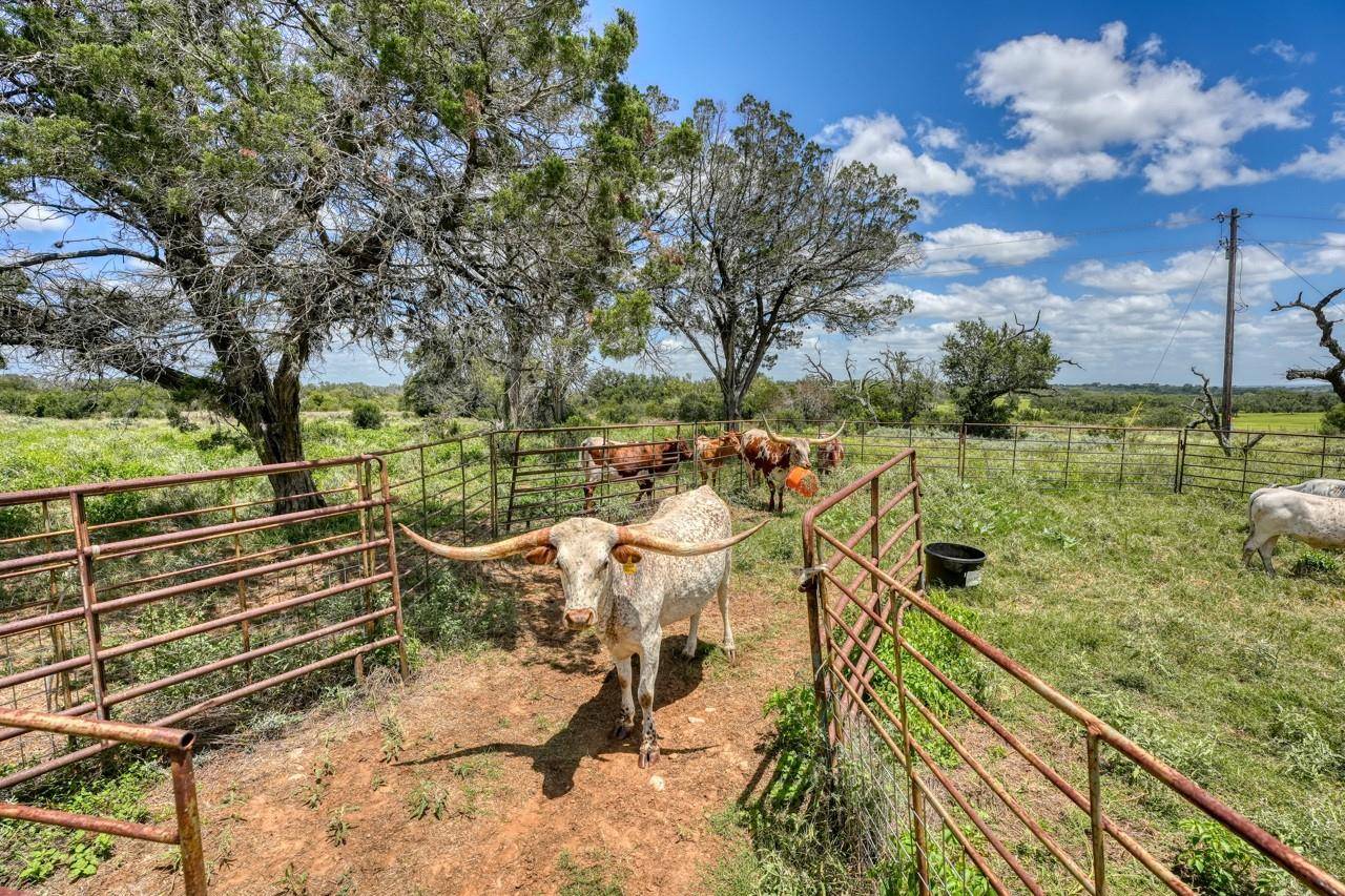 691 Grape Creek RD, Johnson City, TX 78636