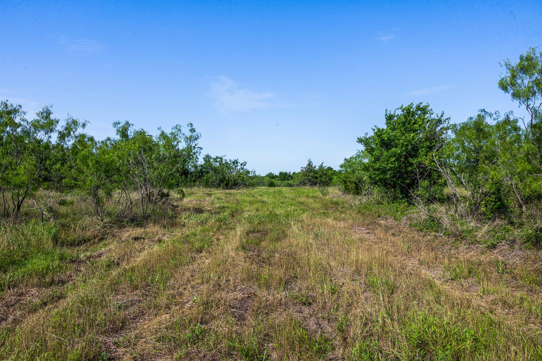 Tract 2 TBD LCR 392, Groesbeck, TX 76642
