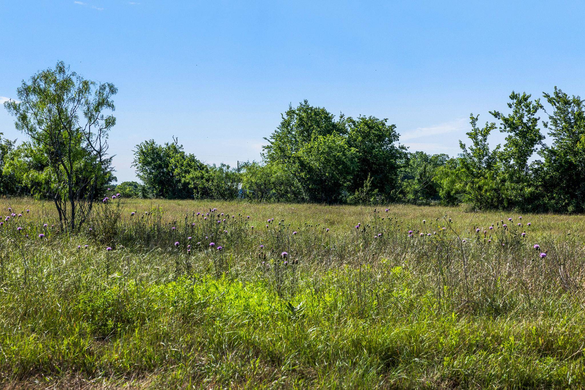 Tract 2 TBD LCR 392, Groesbeck, TX 76642