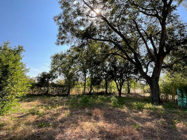 1005 W 8th ST, Cameron, TX 76520