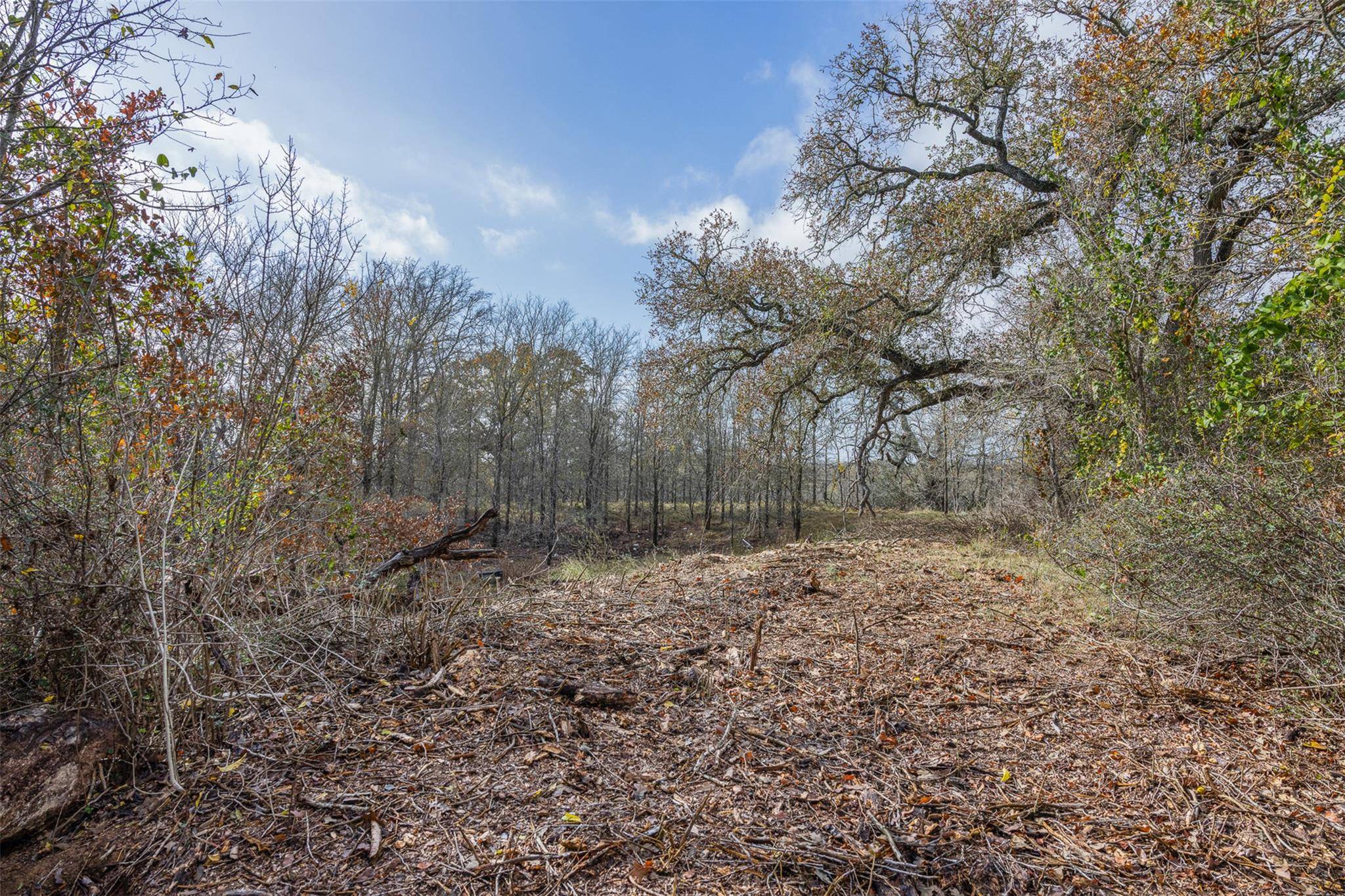 970 Bugtussle LN, Luling, TX 78648