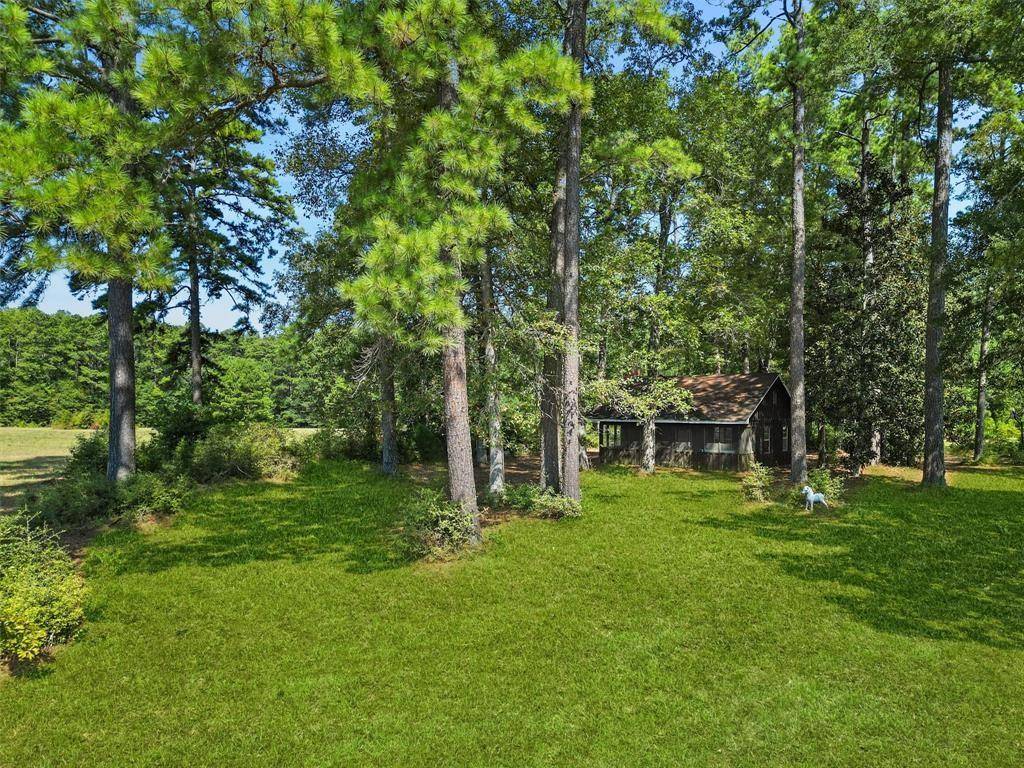 00 Forest Service Road 201, Coldspring, TX 77328