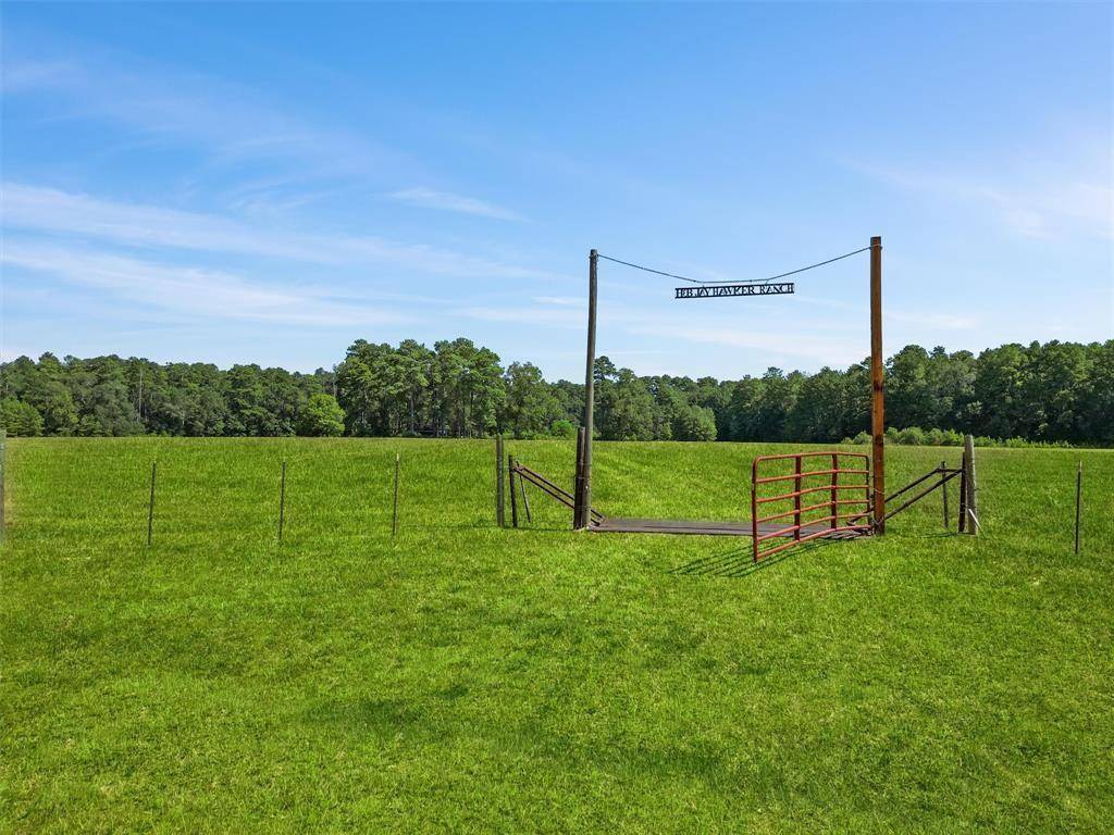 00 Forest Service Road 201, Coldspring, TX 77328