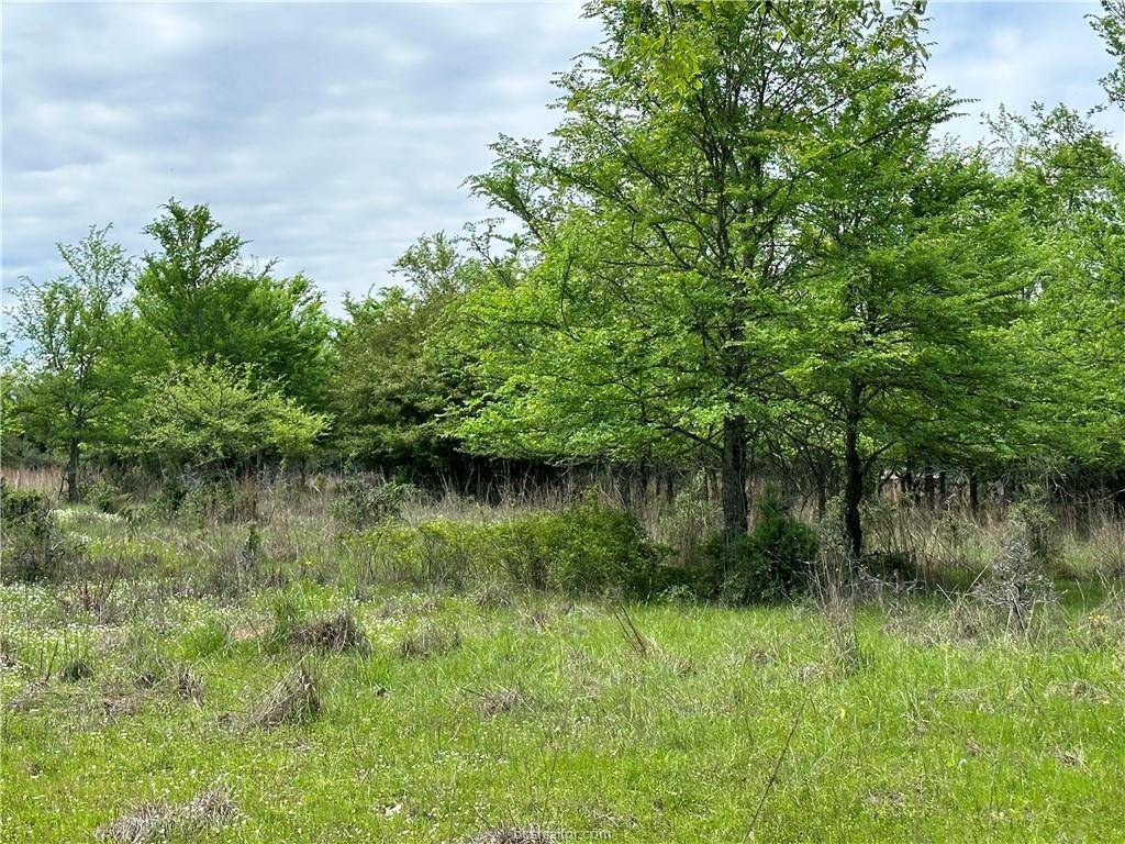 00 Hickory Loop RD, Thornton, TX 76687