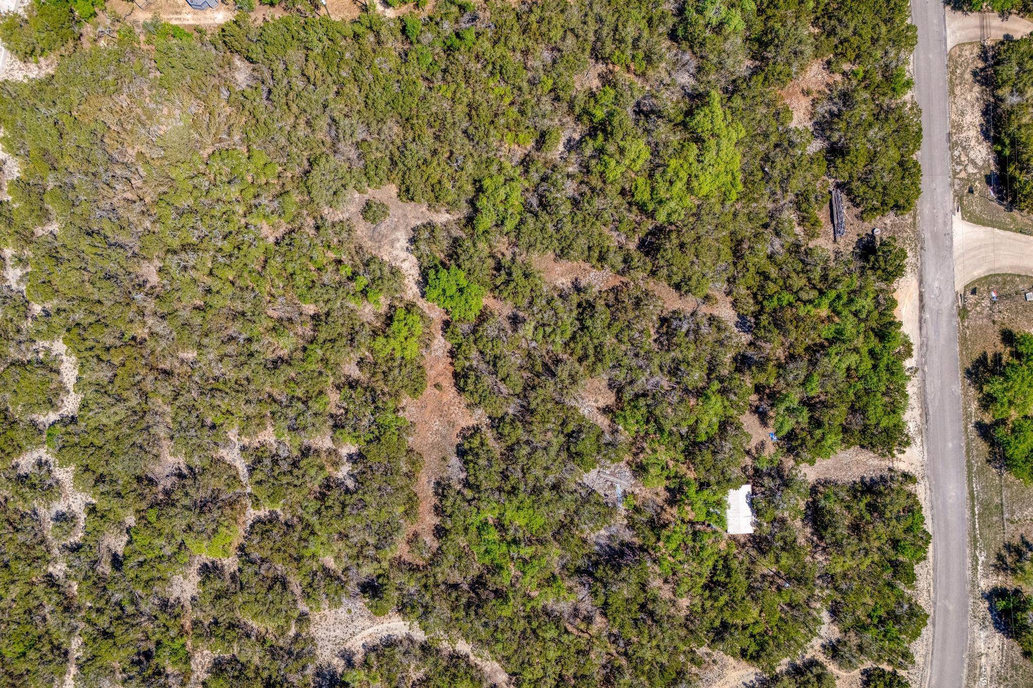 701 Plant Lady LN, Dripping Springs, TX 78620