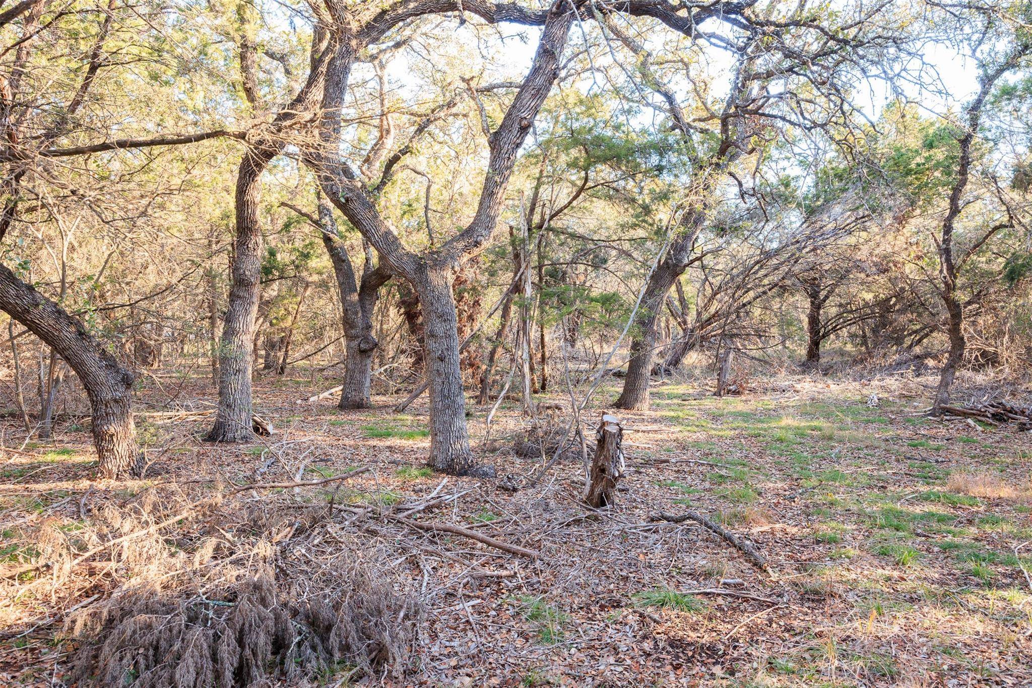 202,204,208 Thomas Oaks DR, Wimberley, TX 78676